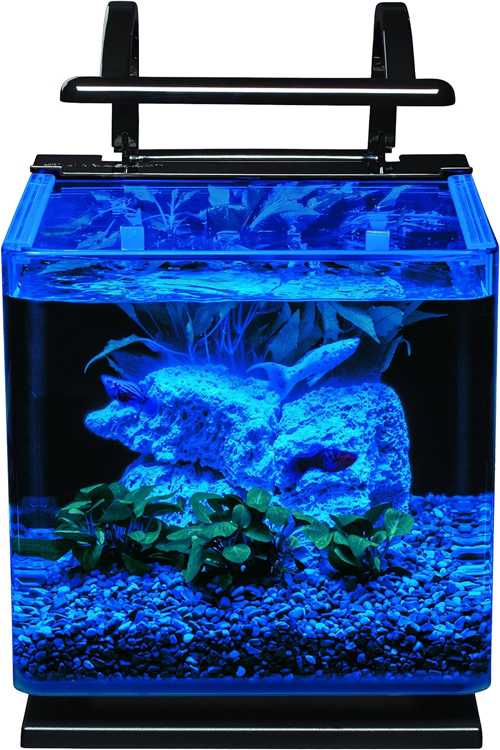Marineland Contour 3 Aquarium Kit 3 Gallons, Rounded Glass Corners, Includes LED Lighting image number 3