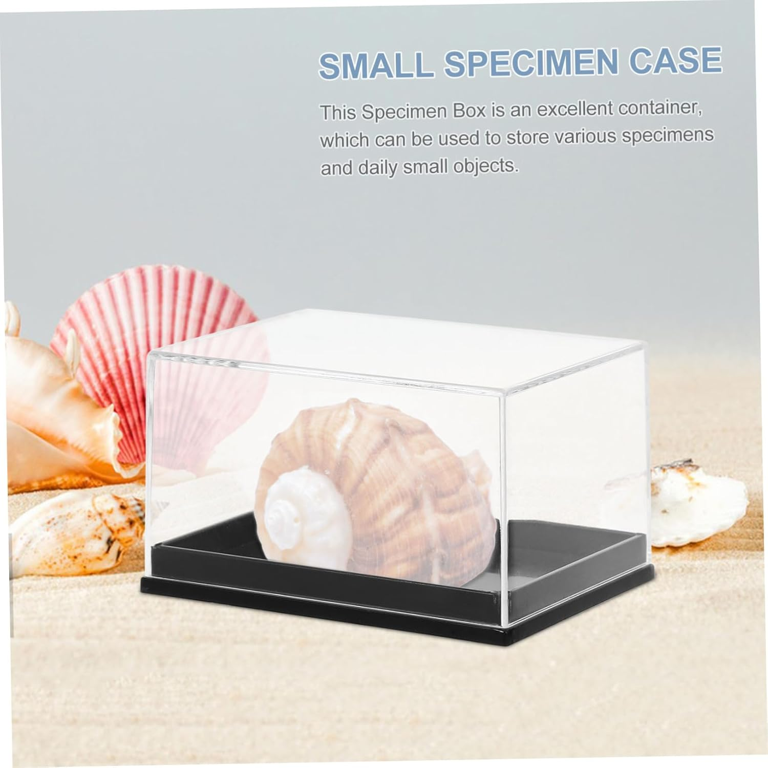 STOBAZA Mineral Specimen Display Box Set, 4Pcs Small Storage Case Lid, Plastic Specimen Storage Container for Jewelry and Mineral Collections in Australia image number 1