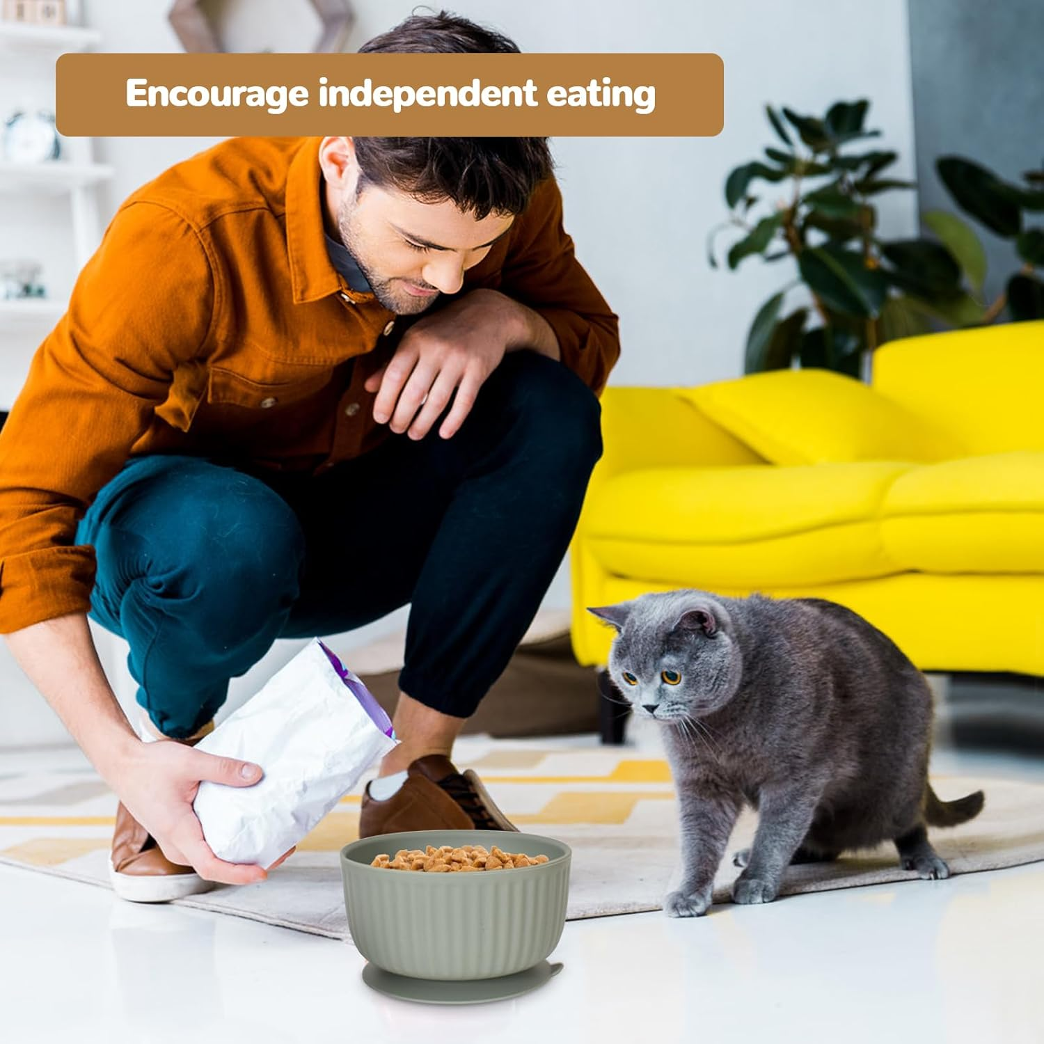 Set of 3 Silicone Cat Bowls with Lid, Non-Slip Suction Cup Feeding Bowls Set, for Kittens and Small Dogs, Microwave Dishwasher Safe, Striped Design Pet Bowls image number 5