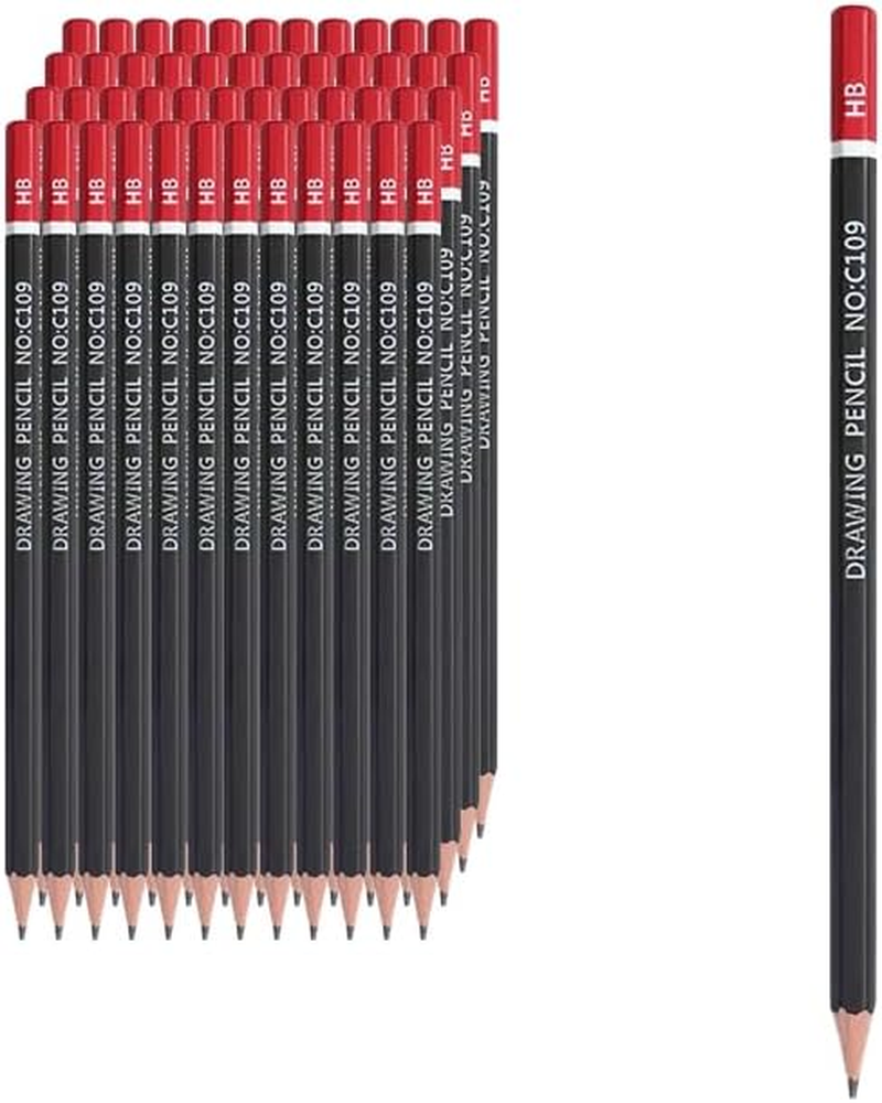 Pencil,Wood-Cased Pencils,Pre-Sharpened,2B Lead,48 Count,Gift Box Packagin