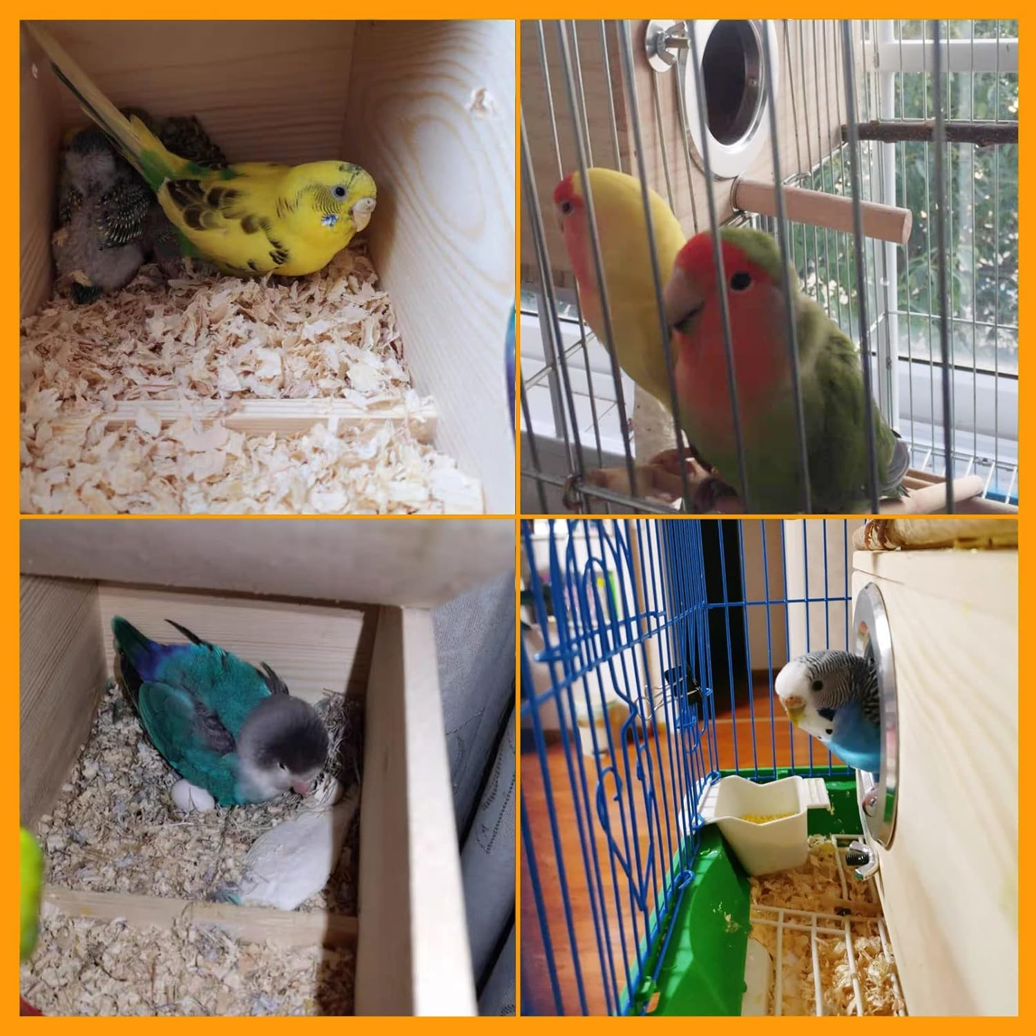 Parakeet Nesting Box Natural Wood Bird Nest Breeding Box Cage Aviaryparrots Mating Aviary Hatching House Mating Cage Nest Wood House for Finch Lovebirds Cockatiel Budgie Conure Parrot image number 4