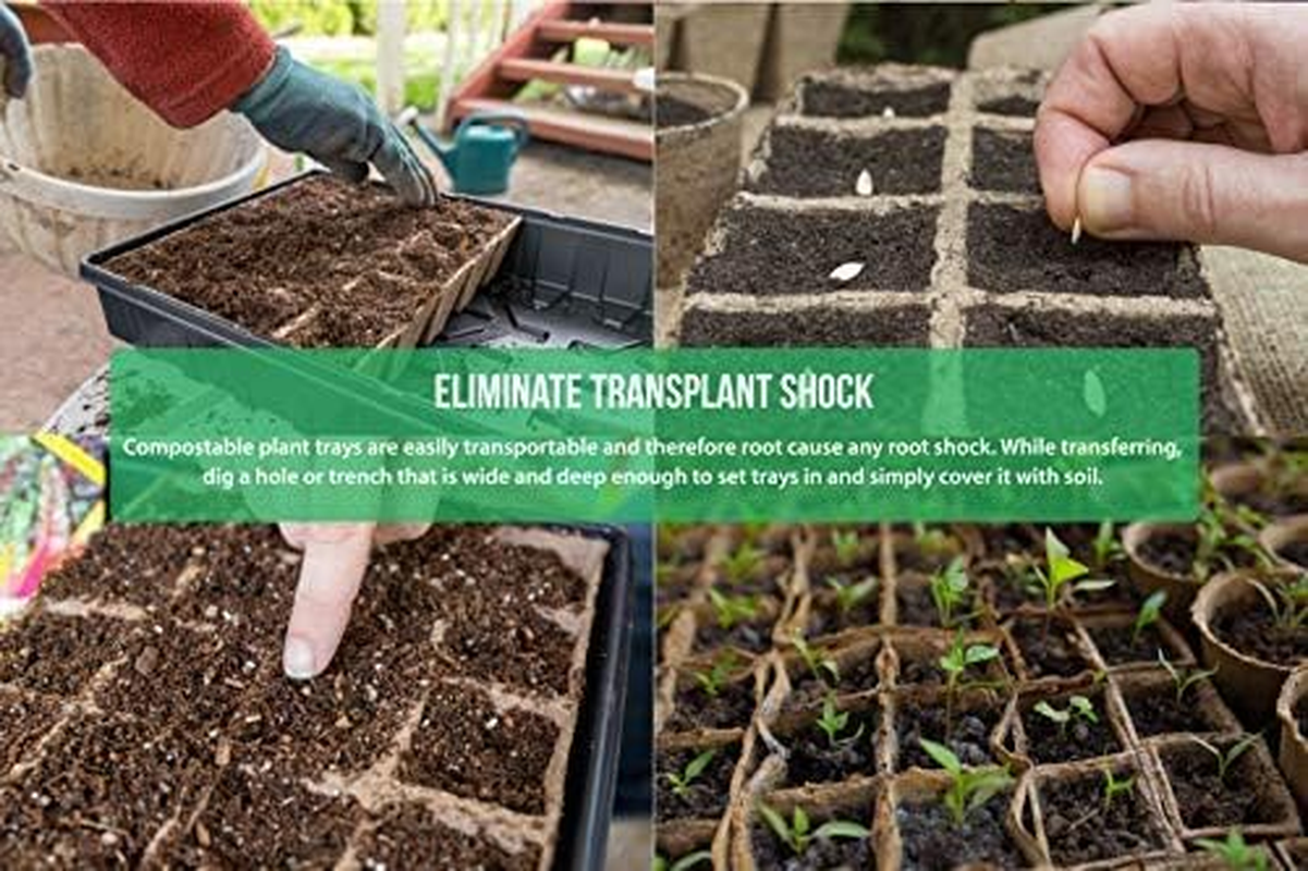 TIROTECHS Biodegradable Plant Starter Trays - Eco Friendly Seed Starter Tray Kit, Peat Pots for Seedlings, Seed Starter Tray Garden with 10 Bonus Plant Labels, Seed Starter Pots (15, 10 Cells) image number 3