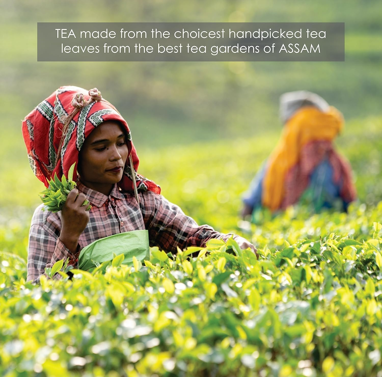 Octavius Enveloped Indian Masala Black Tea &ndash; 30 Flavoured Tea Bags | Pure Aromatic Spiced Chai | Energising Black Tea | Supports Weight Management & Digestion | Authentic Indian Blend image number 1