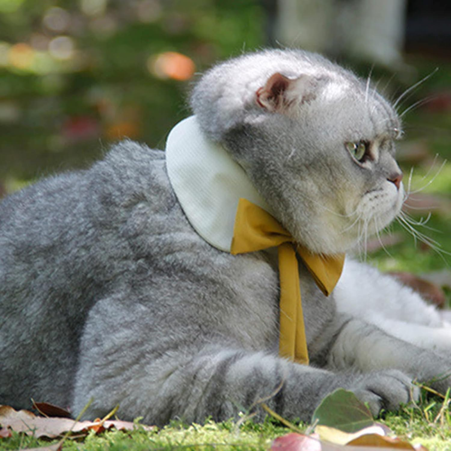 HACRAHO Formal Cat Tie, 1 Pcs Adjustable Cat Collar Tuxedo Bow Tie Collar for Dogs Cats Puppy Party Supplies image number 5