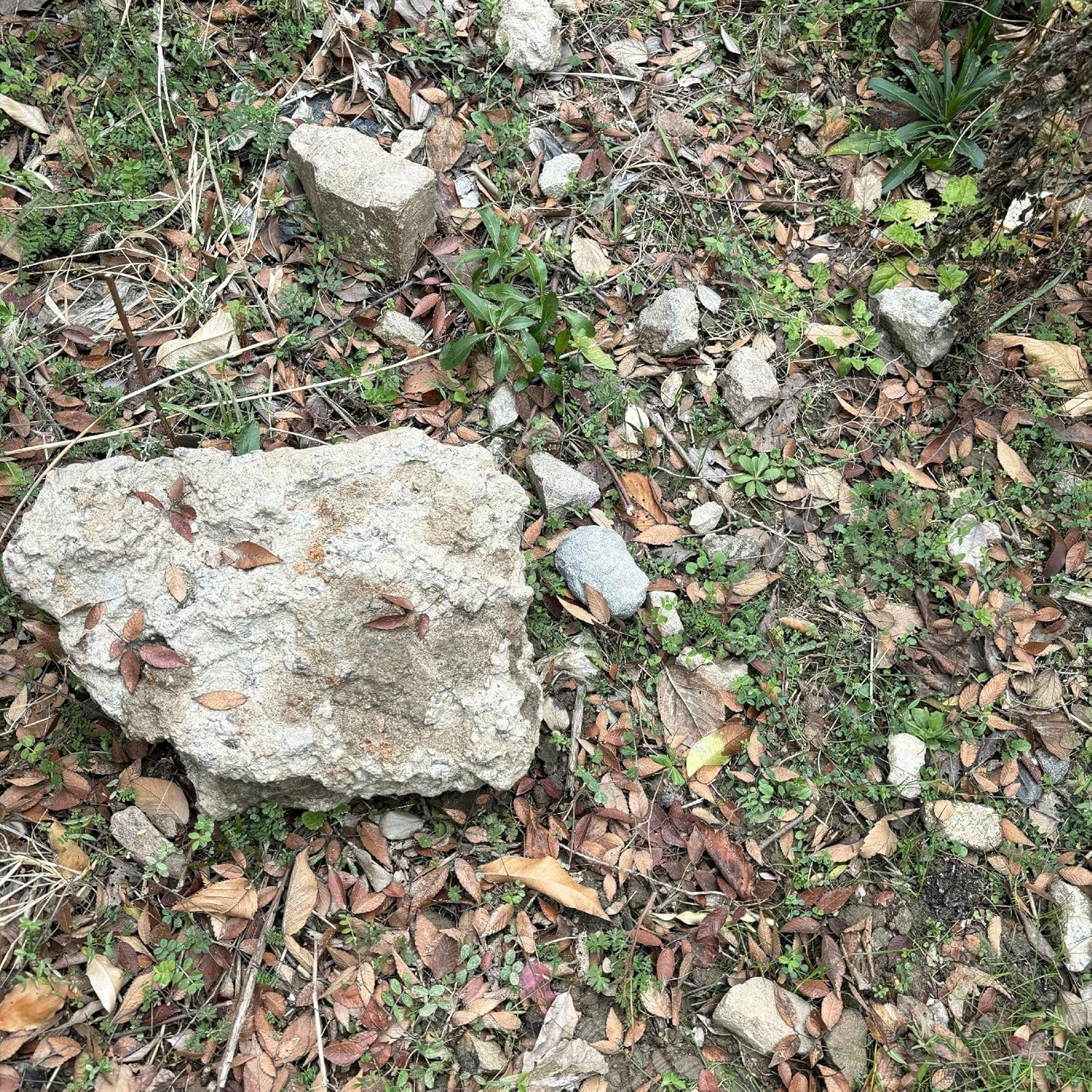 Hide a Key Fake Rock Safe Holder Realistic Stone Hider Keybox for Outdoor Garden image number 6