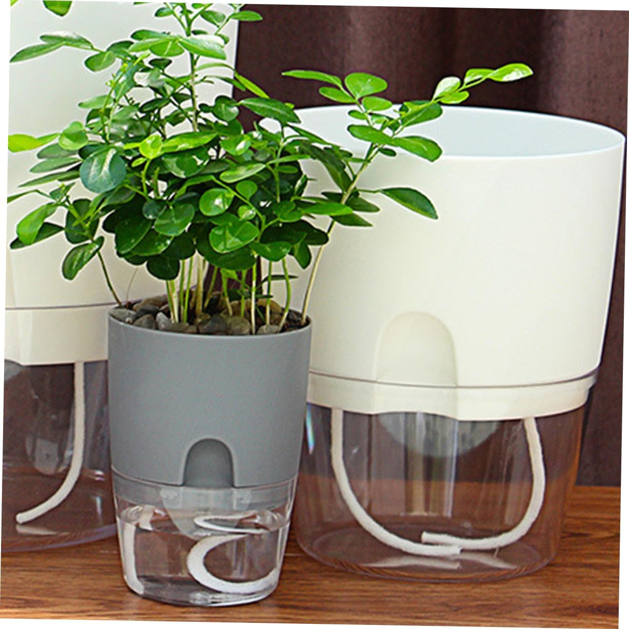 Kisangel Automatic Watering Rope for Self Watering Pot Absorbent Cotton Cord for Potted Plants Hydroponic Supply for Indoor Plants Water image number 5