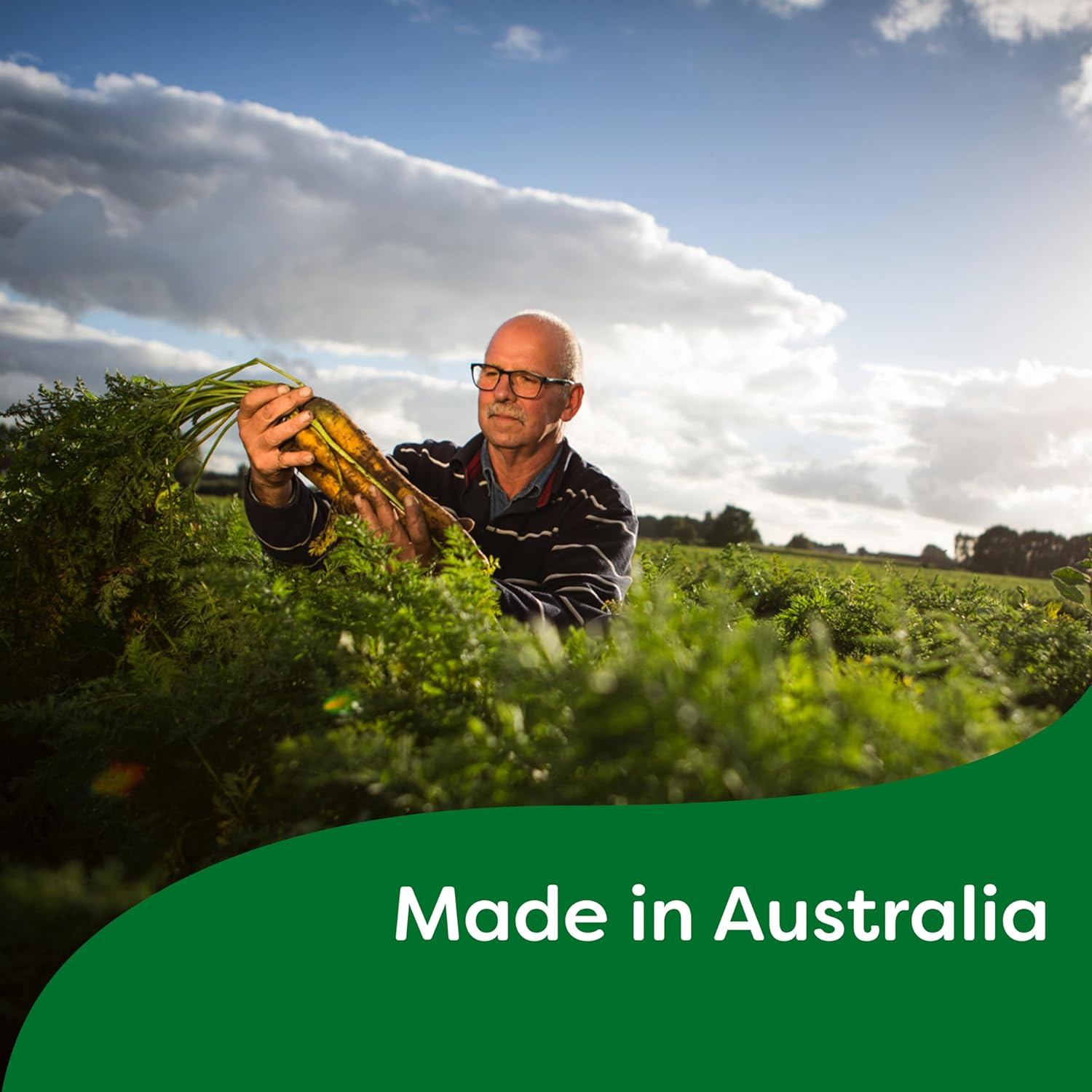 Continental Classics Macaroni Cheese Pasta & Sauce Family Pack 170 G image number 3