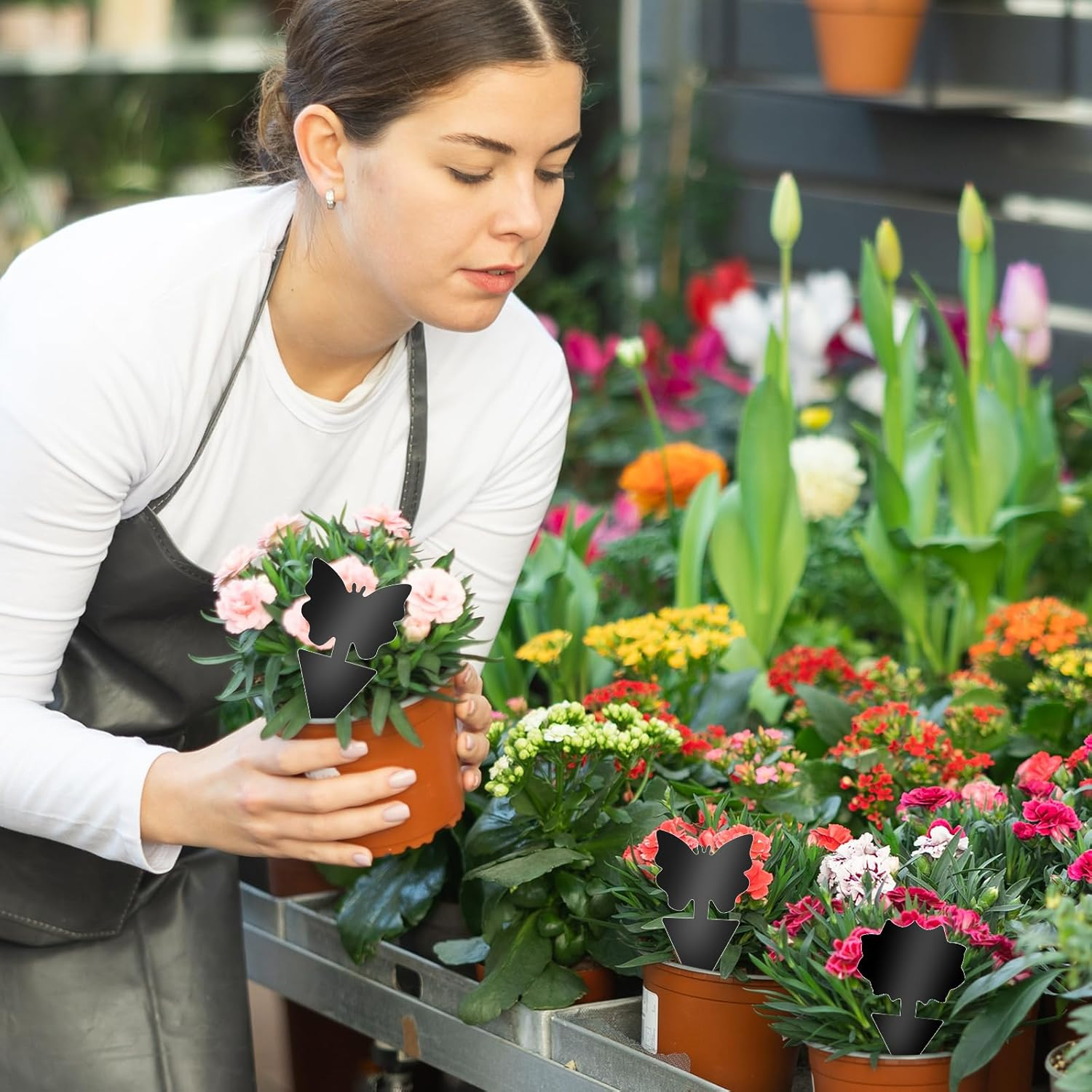 Fruit Fly Traps, 60 Pack Black Sticky Traps, Fungus Gnat Traps, Plant Fly Stickers for Indoor and Outdoor Use Protect the Plant image number 2