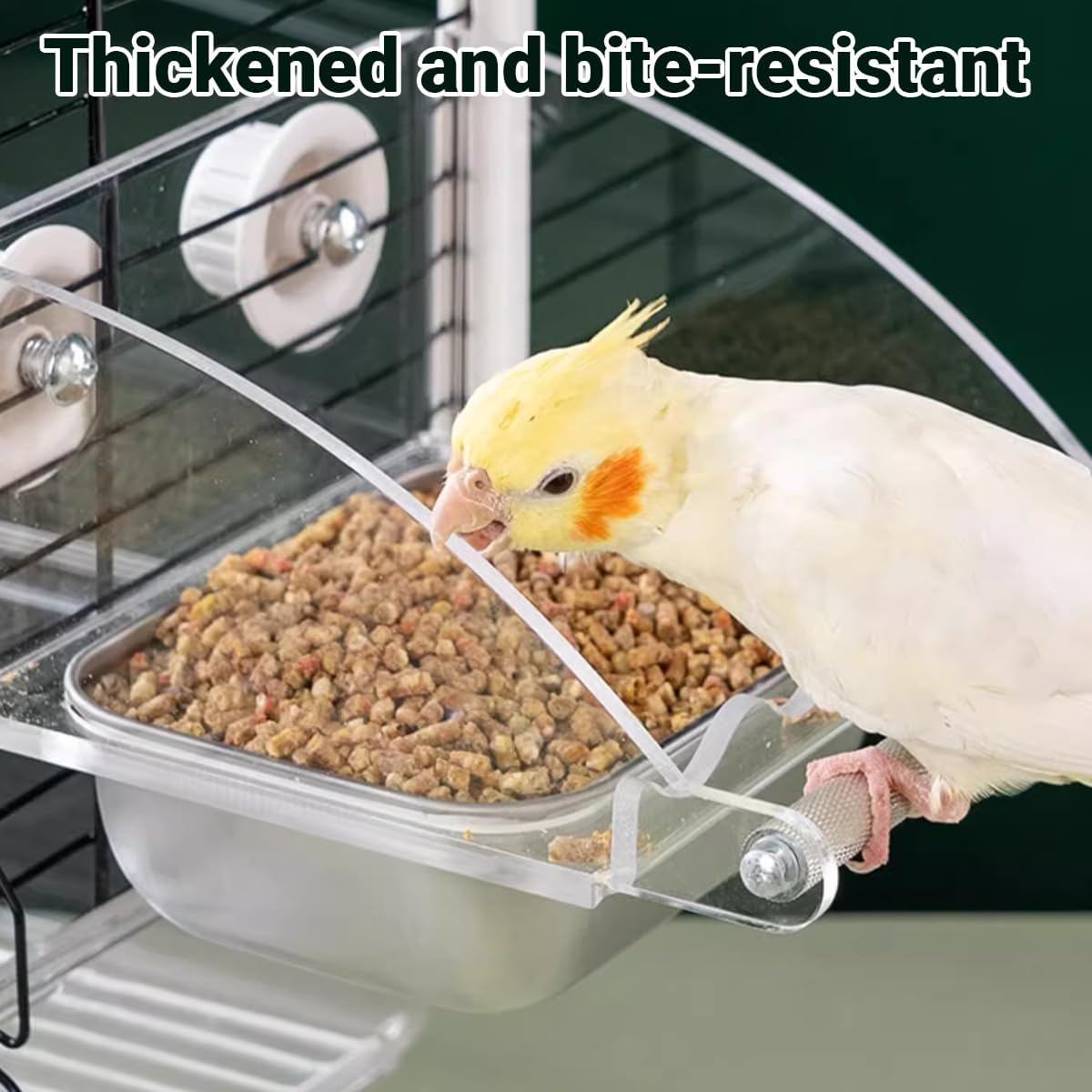 AIMALL Parrot Acrylic Stainless Steel Food Basin Box, Anti-Scattering Feeder with High Colour Value for Peony Xuan Feng Birds, Available in 3 Sizes image number 4