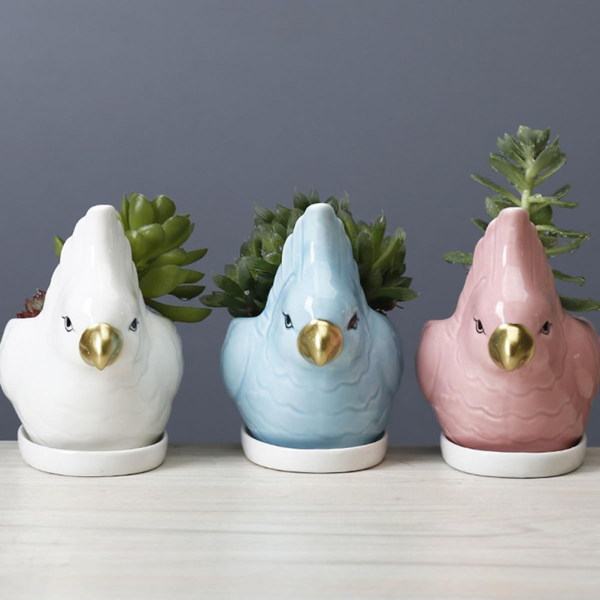SEWACC Ceramic Succulent Flowerpot Set with White Parrot Design and Saucer, Creative Cartoon Animal Planter Pot for Indoor Gardening and Green Plant Decoration image number 1