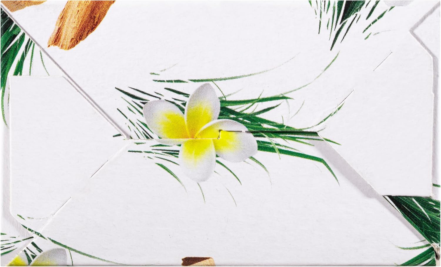 Air Wick Botanica Reed Diffuser, Caribbean Vetiver and Sandalwood, 80Ml (Pack of 5) image number 3