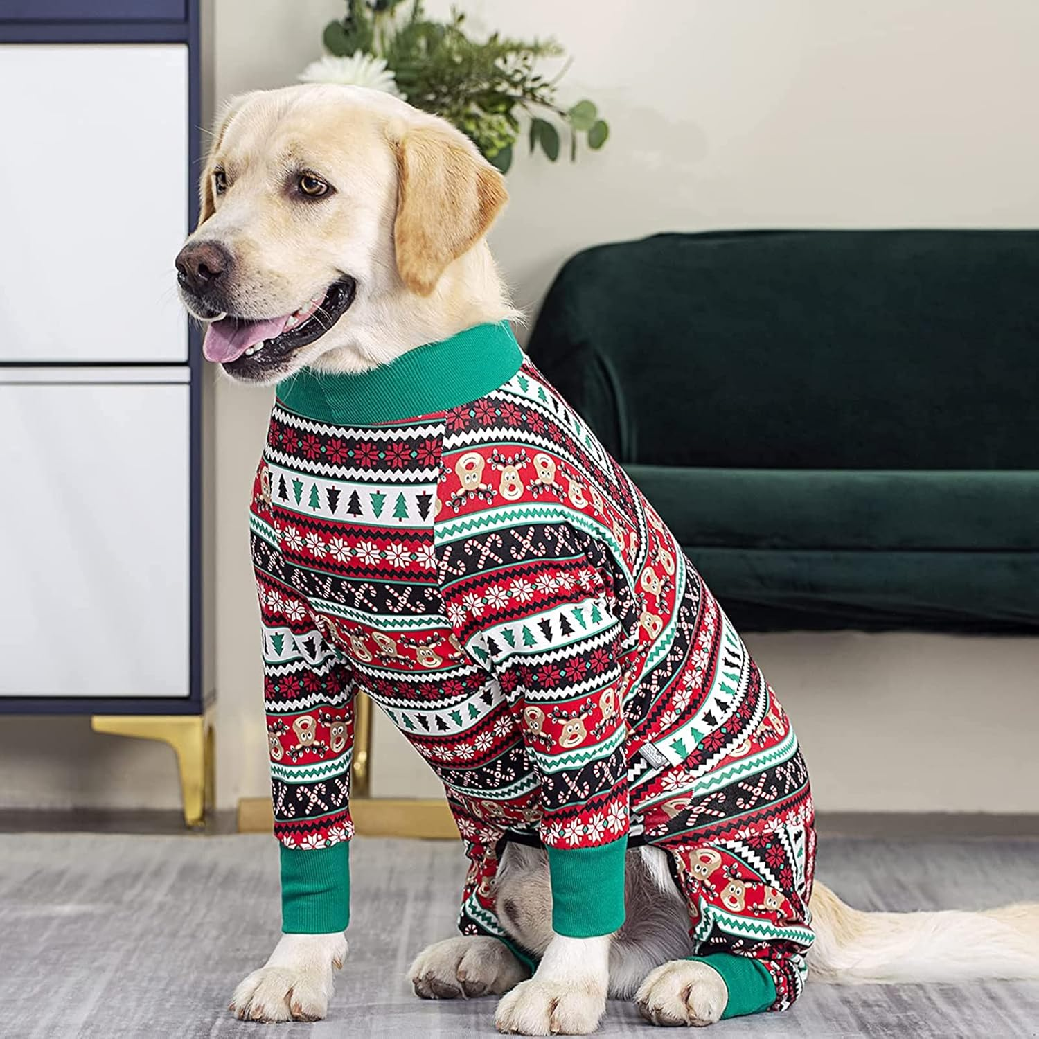 BT Bear Pet Onesie for Large Dogs, Protect Joints Pet Pyjamas, PJS Dog Jumpsuit for Medium Large Dogs (5XL, Red Christmas) image number 2