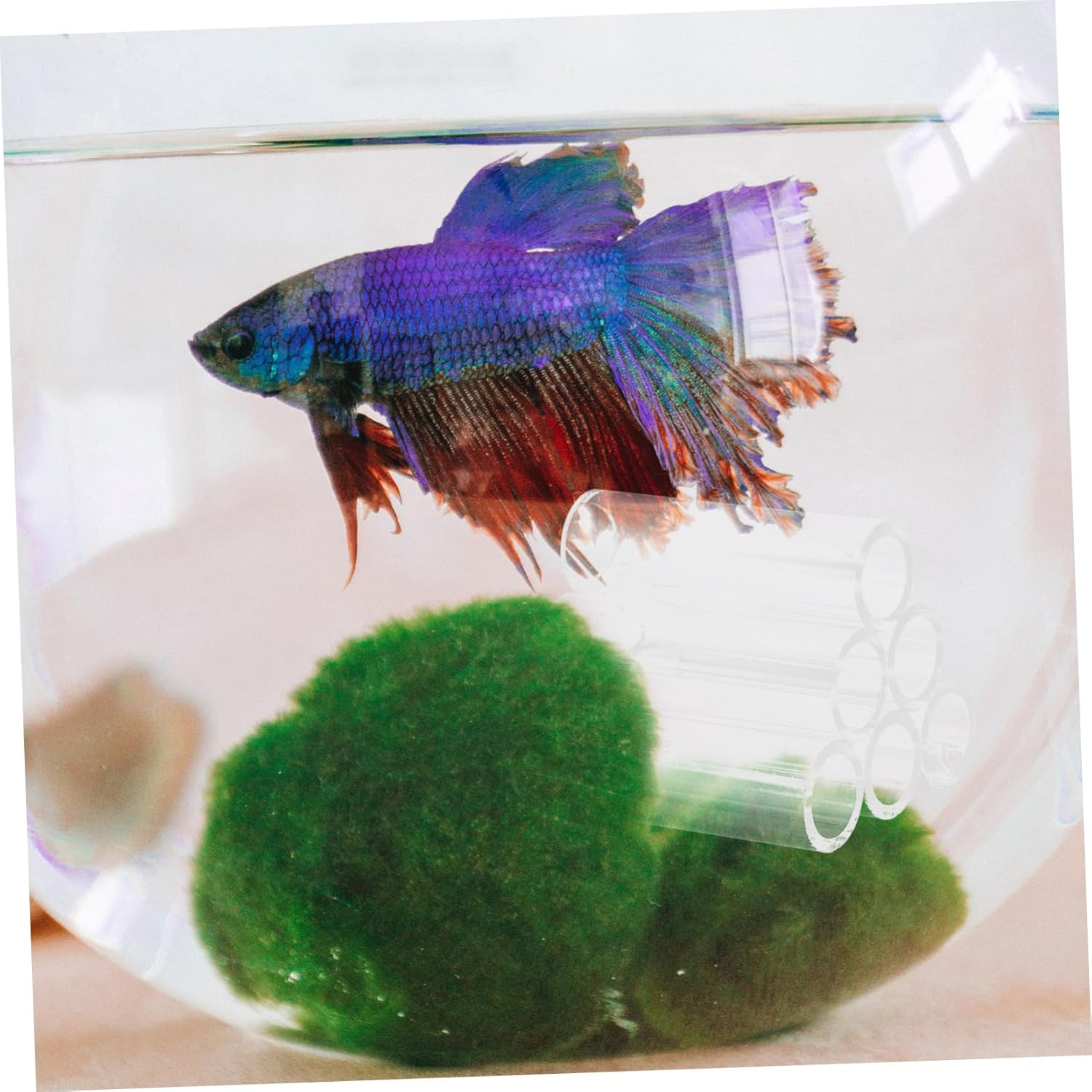 BUGUUYO 6Holes Transparent Acrylic Shrimp Breeding Tube Aquarium Shelter for Fish and Turtles Versatile Habitat Decoration Acrylic Design for Easy Monitoring of Aquatic Pets