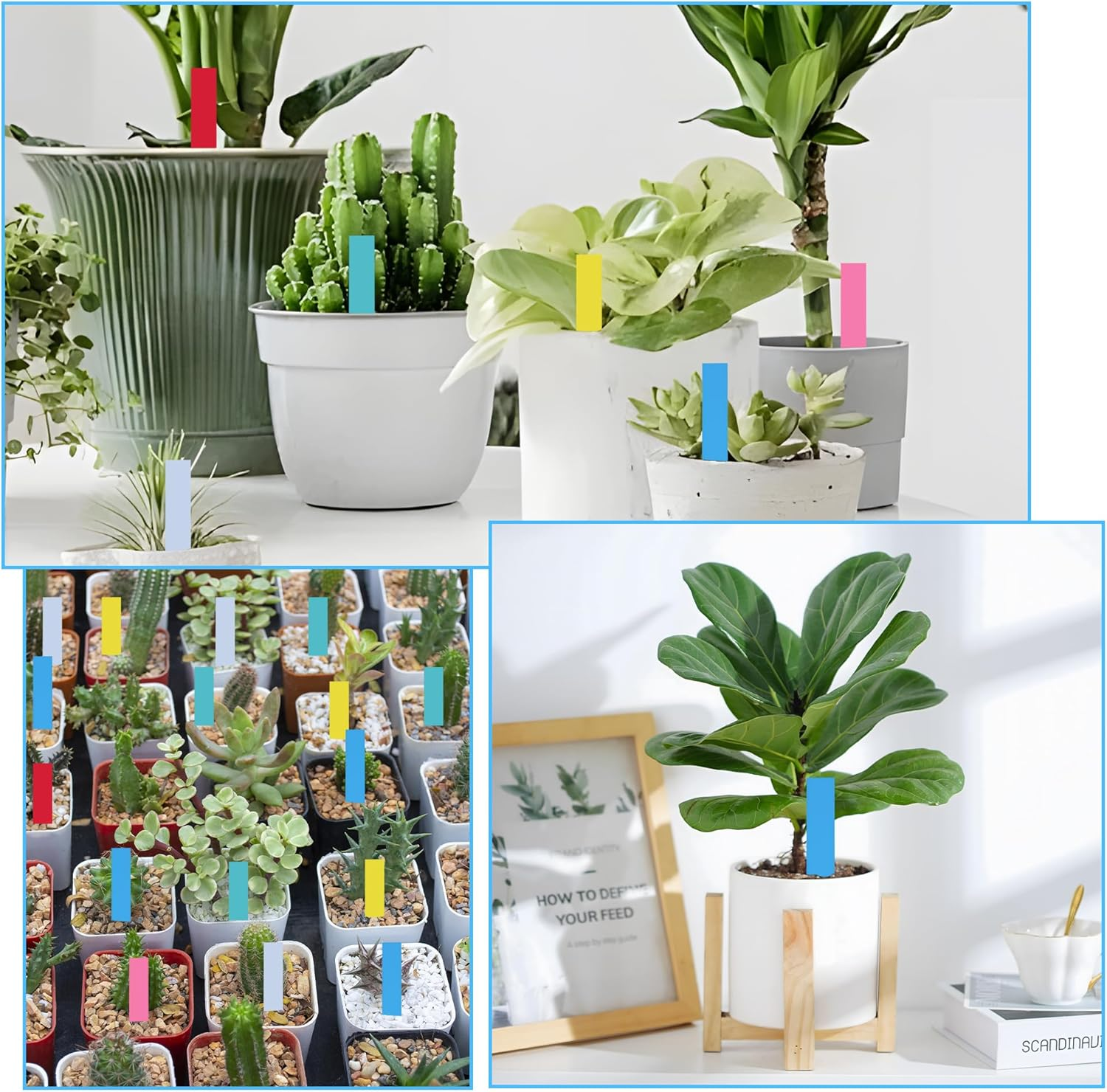 120Pcs 4 Inch Plant Labels, Durable PVC Weatherproof & Fade-Resistant Garden Markers for Outdoor Use, 6-Color Plant Tags for Vegetable Gardening, Nursery & Greenhouse for Gardeners & Plant Lovers image number 4