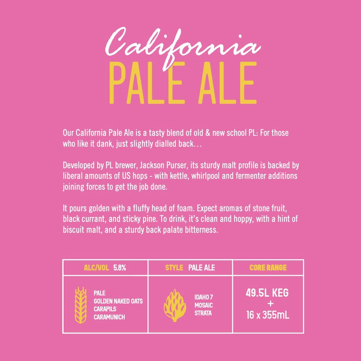 Pirate Life California Pale Ale, West Coast Style Australian Beer, Clean & Hoppy, 5.8% ABV, 355Ml (Case of 16 Cans) image number 4