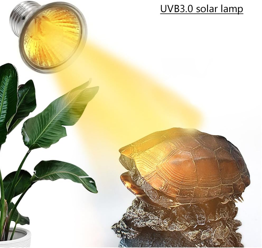 UVA UVB Reptile Light Bulbs, Heat Lamp Bulbs for Reptiles and Amphibians, Basking Light Bulb for Turtle, Bearded Dragon, Lizard Heating Use (3.0 25W 3-Pack) image number 4