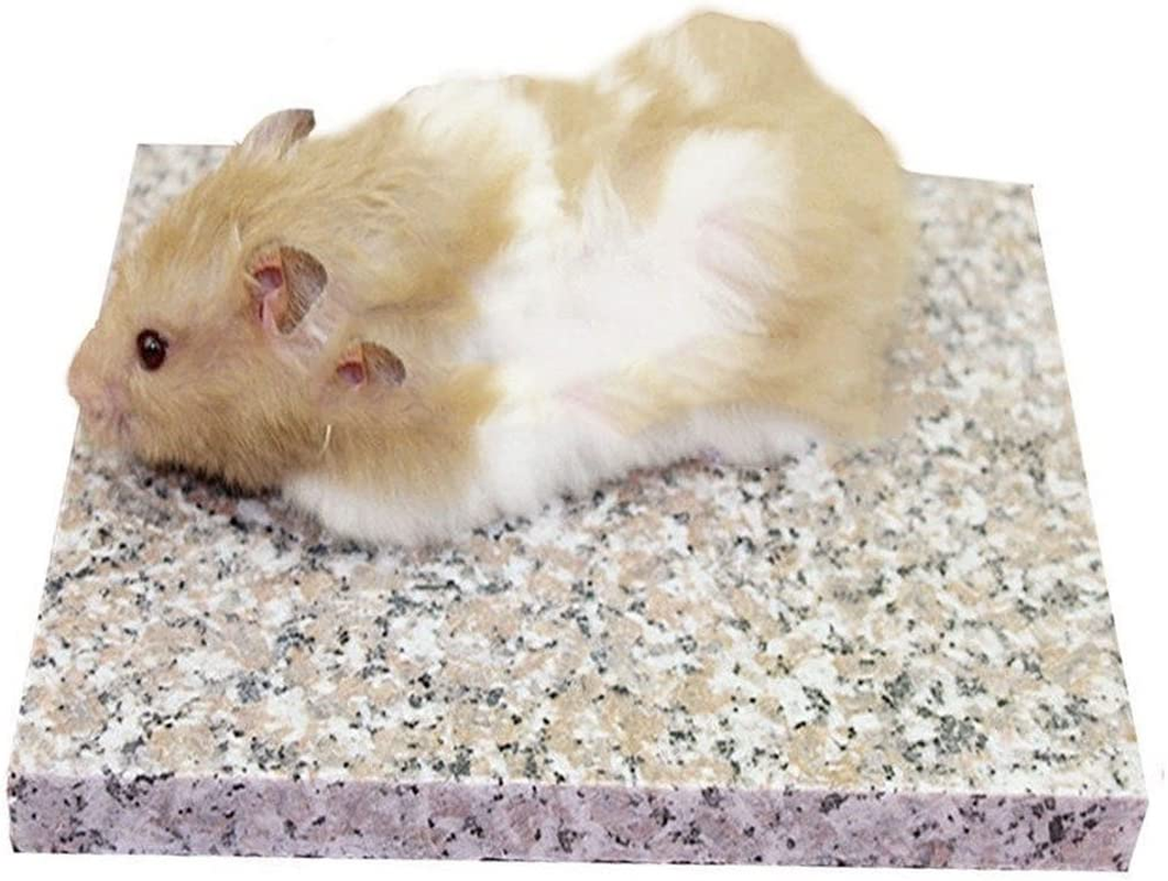 Emours Hamster Chinchilla Chiller Cool Granite Stone Small Animal Habitat Decor, 7.8 X 5.9 Inch image number 3