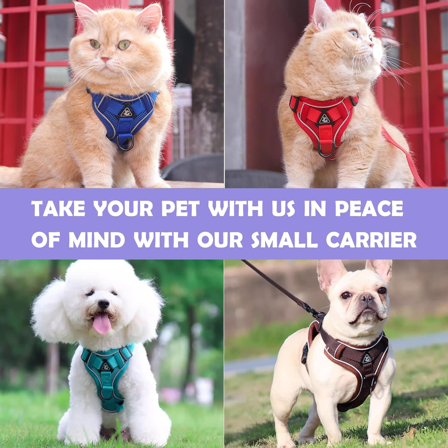 Tikxlafe Cat Harness with Leash, 150 Cm, Cat Leash with Harness, Polyester, Adjustable Cat Leash Set, Escape Proof for Kittens (Blue, M) image number 4