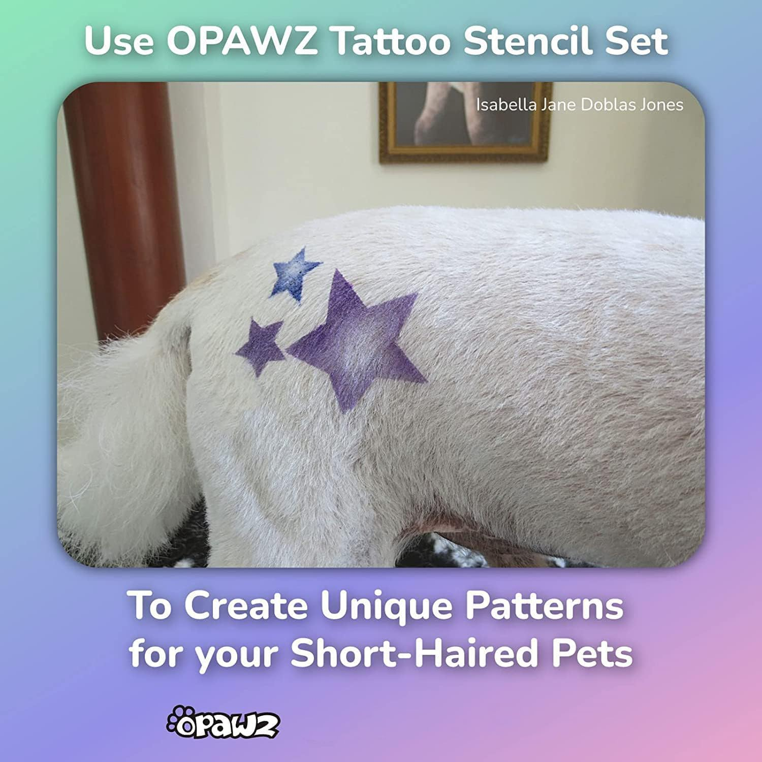 OPAWZ Blow Pen 10 Colors with Tattoo Stencil 24Pcs Suit, Temporary Color Dog Hair Dye, Non-Toxic and Washable, Semi Permanent for Dogs and Cats Grooming image number 4