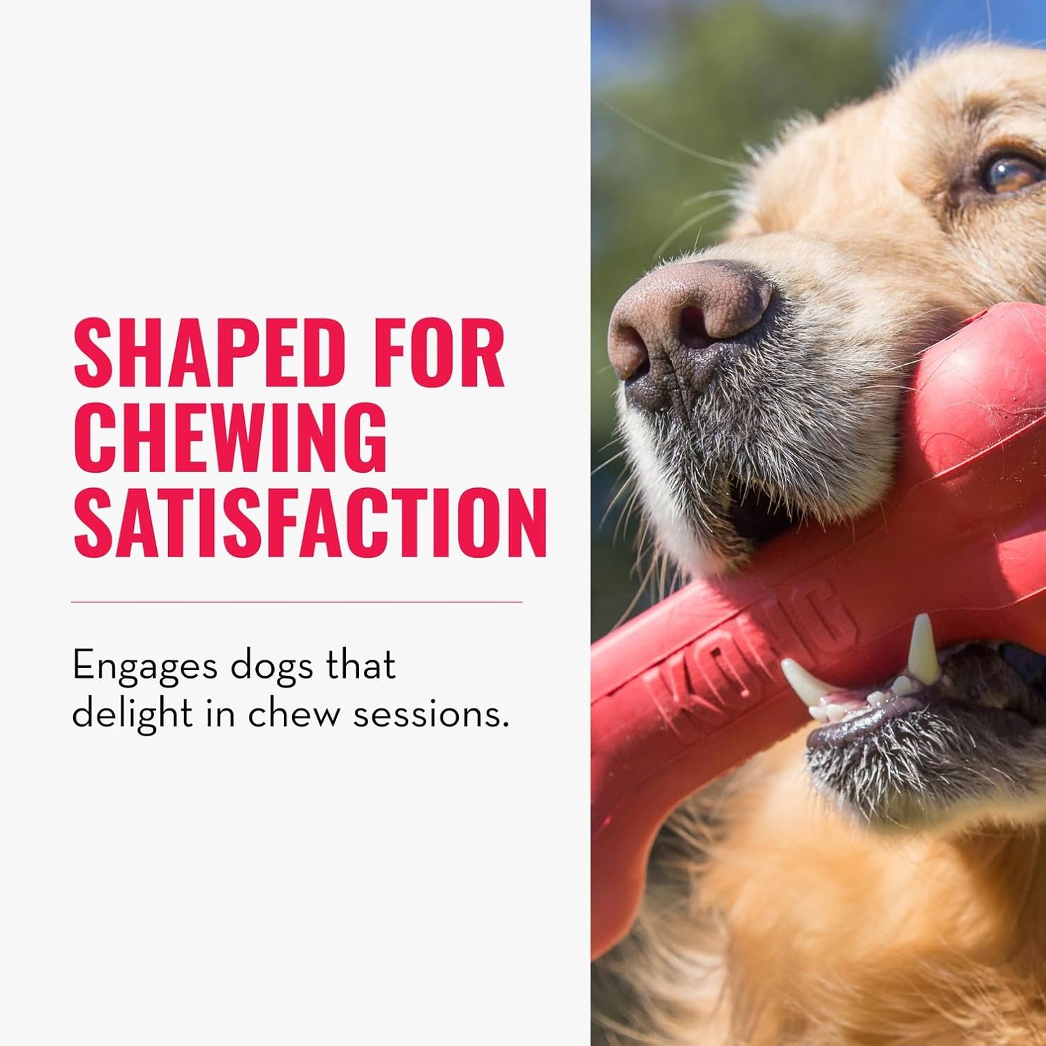 KONG - Goodie Bone - Durable Rubber, Teeth and Gum Cleaning Dog Toy - for Large Dogs image number 3