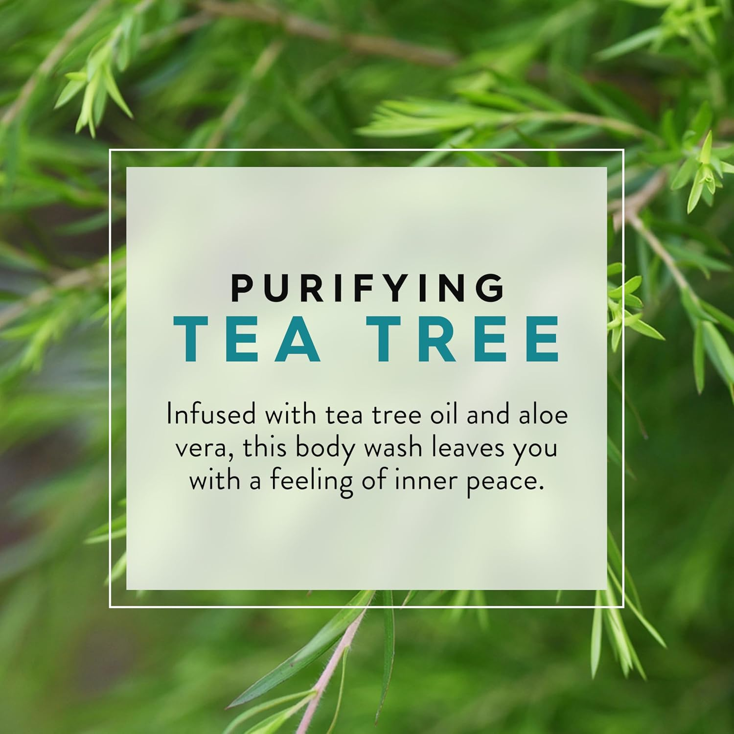 JASON Tea Tree Purifying Body Wash for a Gentle Feel of Cleansing 90Ml image number 1