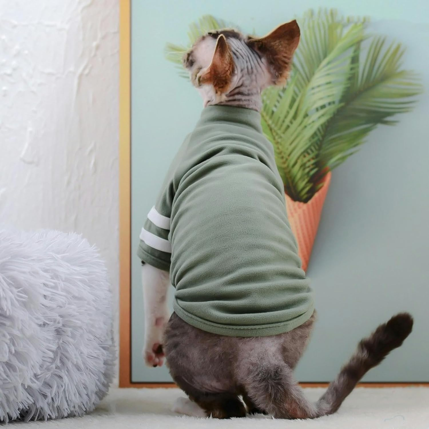 IUOUTG Hairless Cats Clothes Breathable Basic Cat T-Shirts Spring and Summer High Elasticity Kitten Shirts round Collar Cat Vest Clothes for Cats Small Dogs image number 1