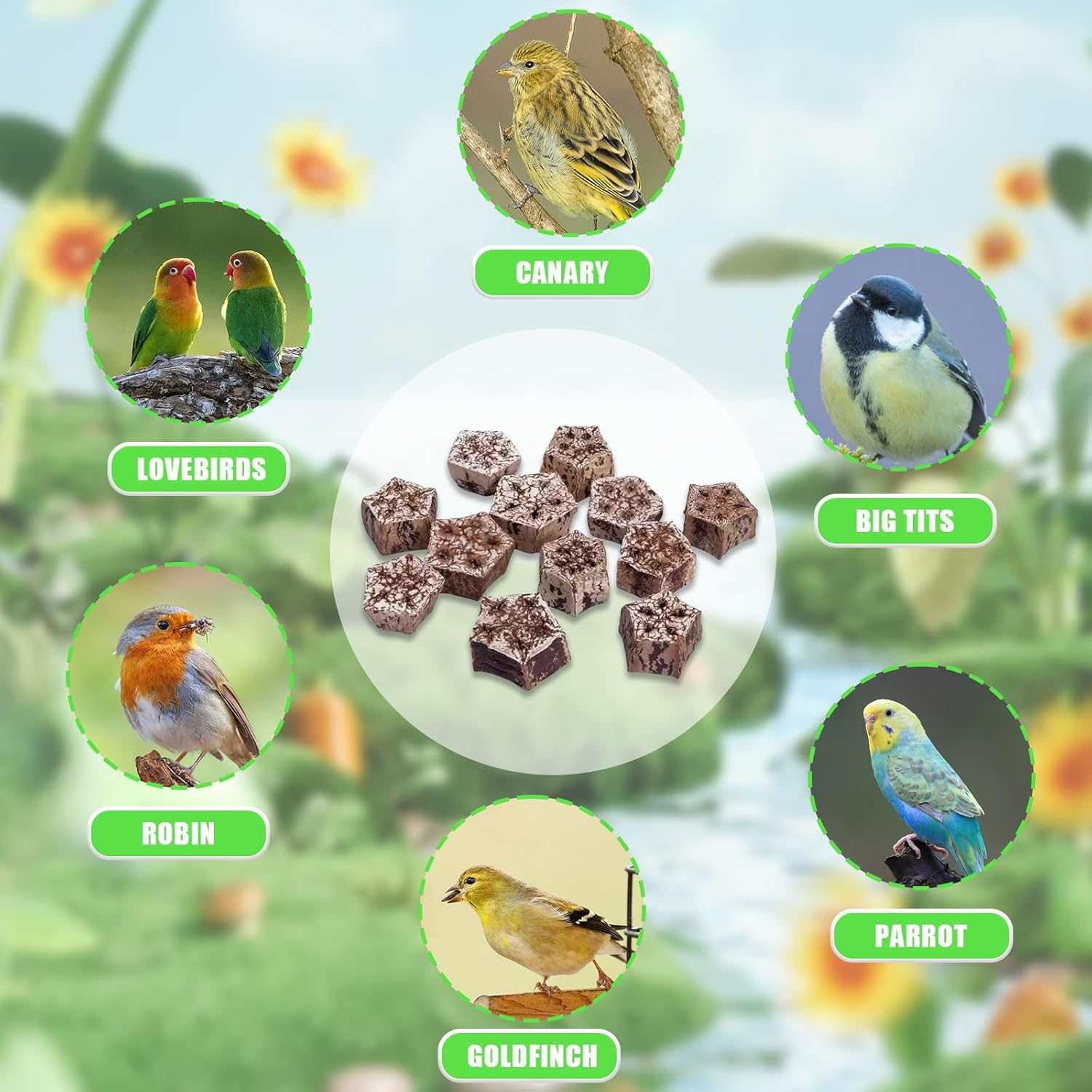 Bird Chew Toy, 24 Pieces Natural Dried Star Fruit Interactive Parrot Toy Budgies Teeth Grinding Treat Blocks Cage Accessories for African Cockatoos image number 2