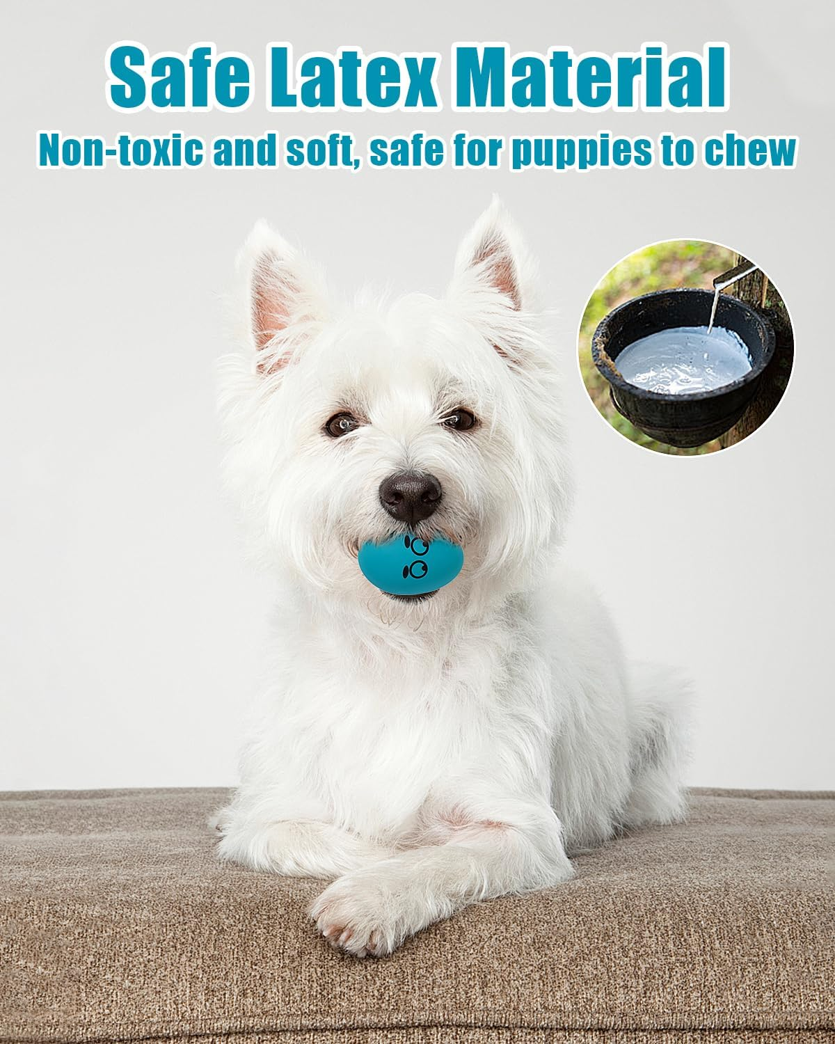 Dog Toys Squeaky, Interactive Funny Puppy Ball Pack, Latex Rubber Squeak Pet Toy Egg Balls for Puppies Small Medium Breed Dogs