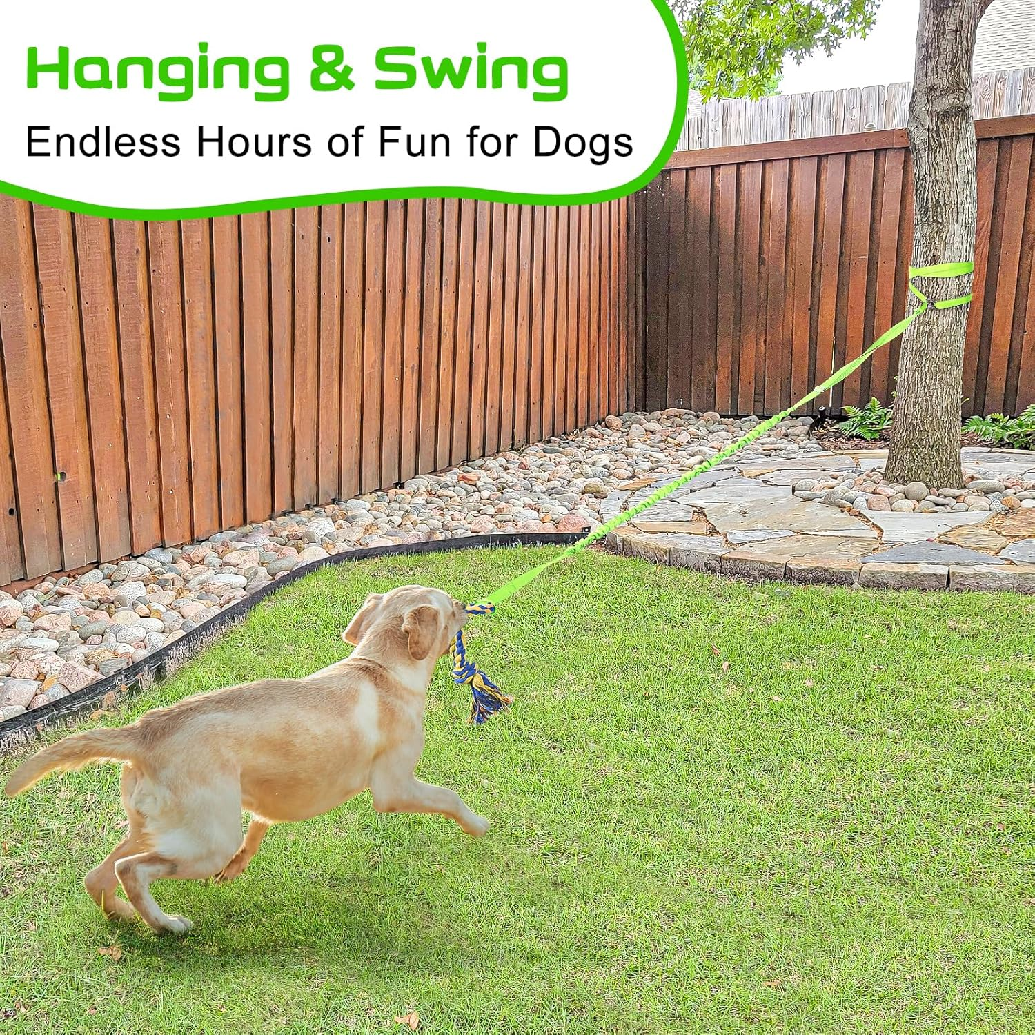 Xiaz Tug of War Dog Toy, Interactive Dogs Toy Bungee Hanging Tether with 2 Chew Rope Toys, Heavy Duty Puppy Outdoor Activity Aggressive Chewers Best Small to Large Boredom Exercise and Play (Green) - Green image number 5