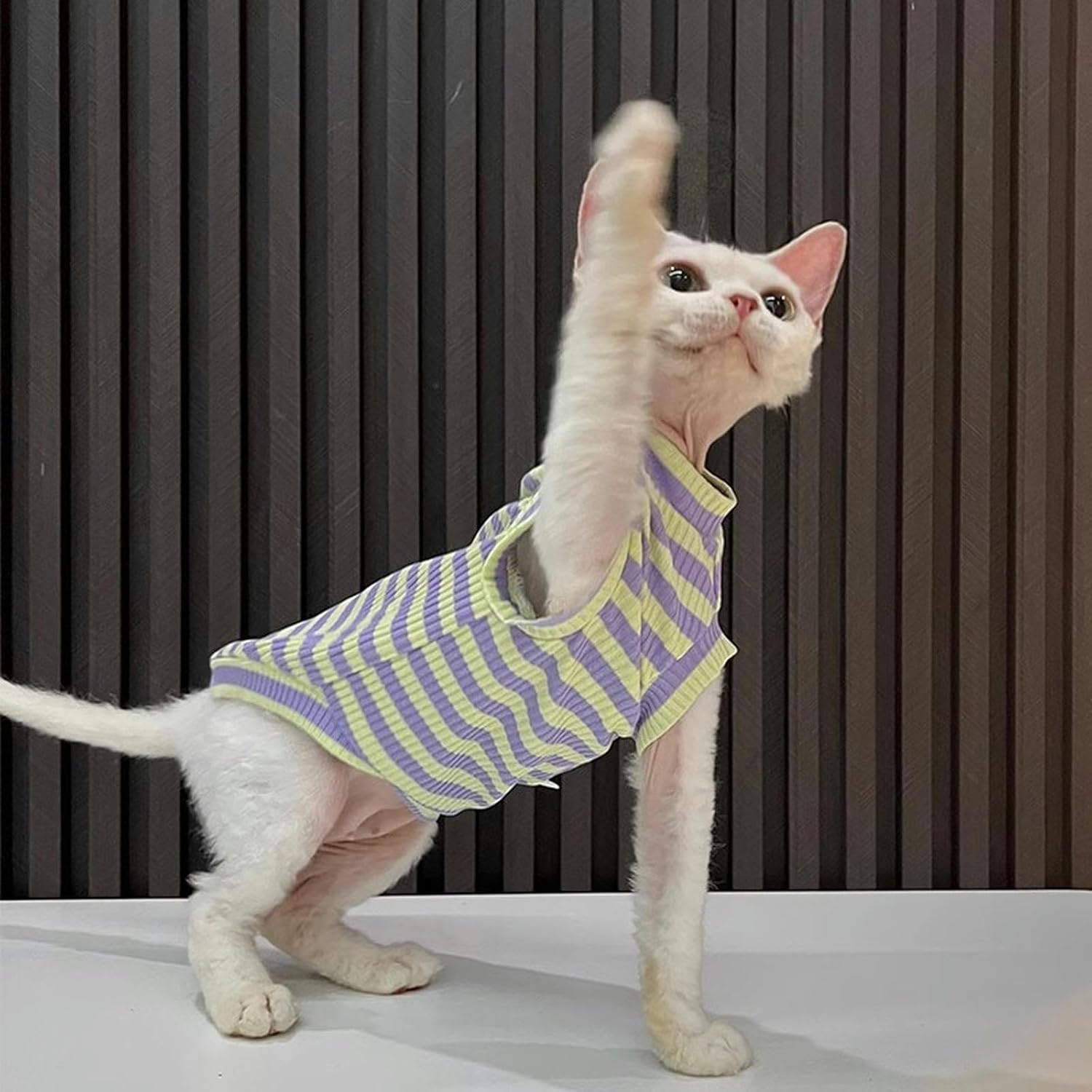 IUOUTG Sphynx Hairless Cats Clothes Striped Cat Shirts round Collar Cute Kitten T-Shirts Sleeveless Cotton Cats & Small Dogs Apparel for Cornish Rex, Devon Rex image number 4