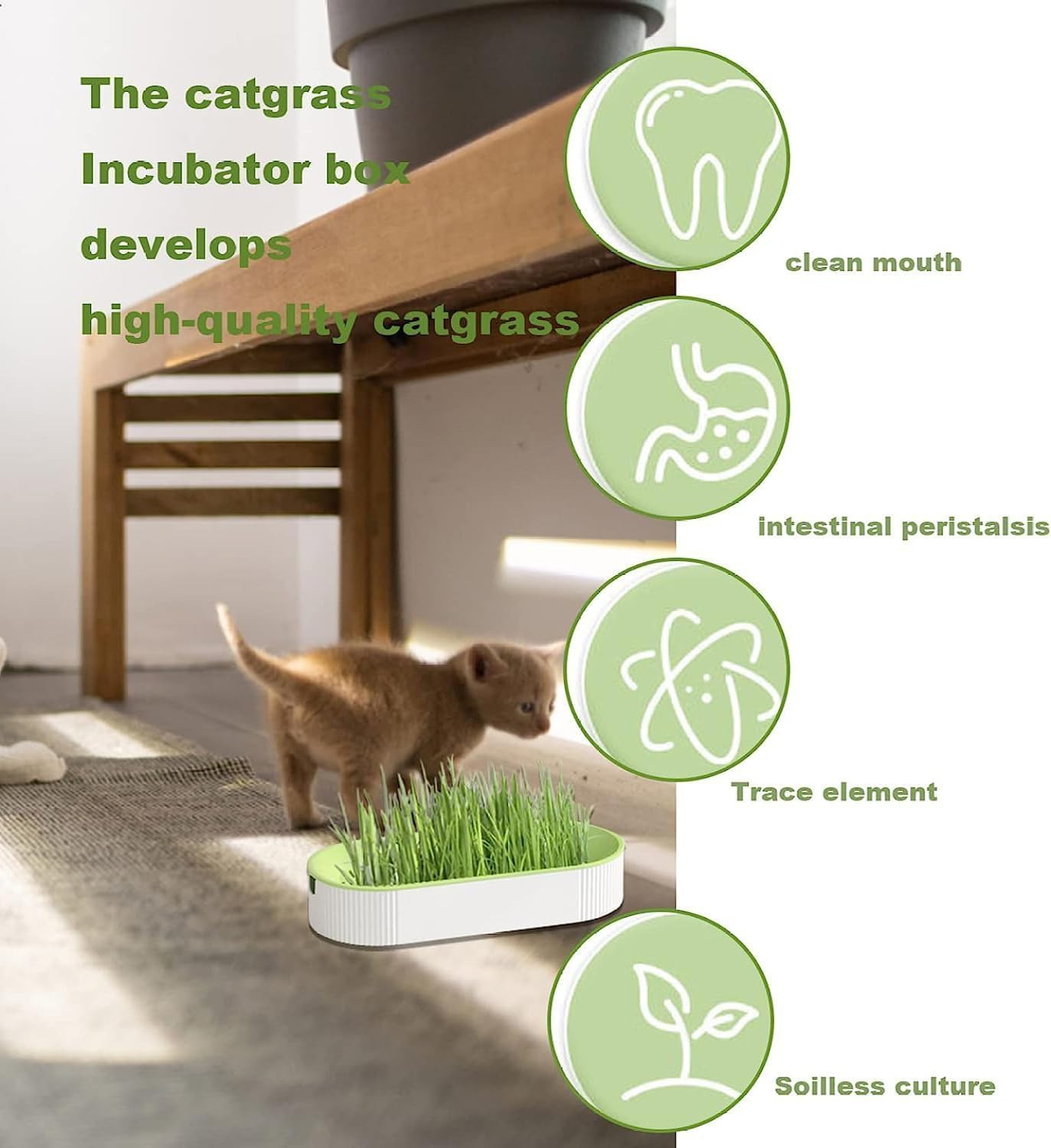 3 Pcs Hydroponic Cat Grass Planter, Seed Sprouter Tray Soil-Free Big Capacity Healthy Wheatgrass Grower Sprouting Container Kit for Kitten - Extra 15 Packs of Seeds image number 1