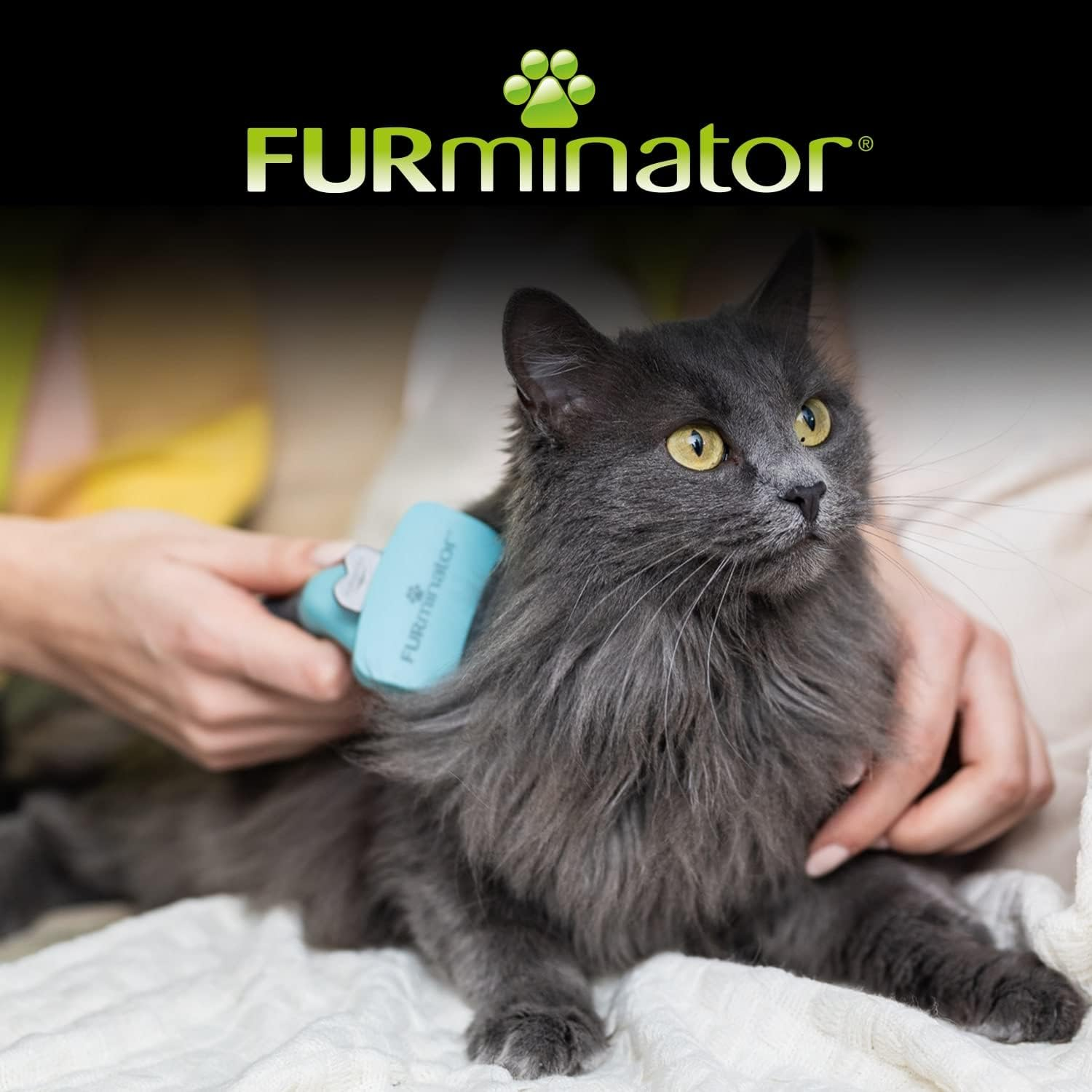 Furminator Undercoat Deshedding Tool for Small Long Hair Cats under 4.5 Kg