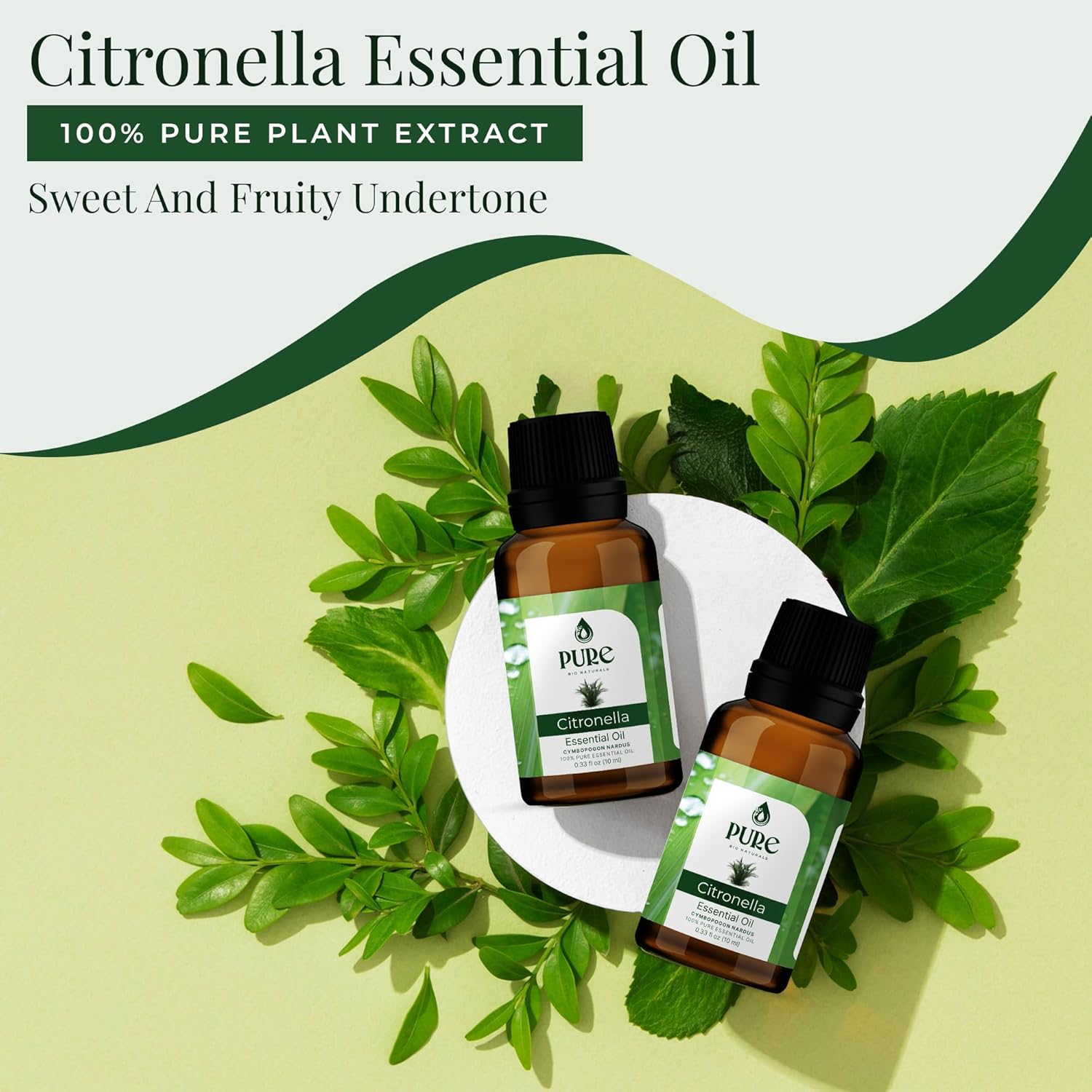 Pure Bio Citronella Oil | 100% Natural, Organic & Pure | Therapeutic Grade Essential Oil for Insect Repellent, Aromatherapy & Massage &ndash; 100 Ml image number 2