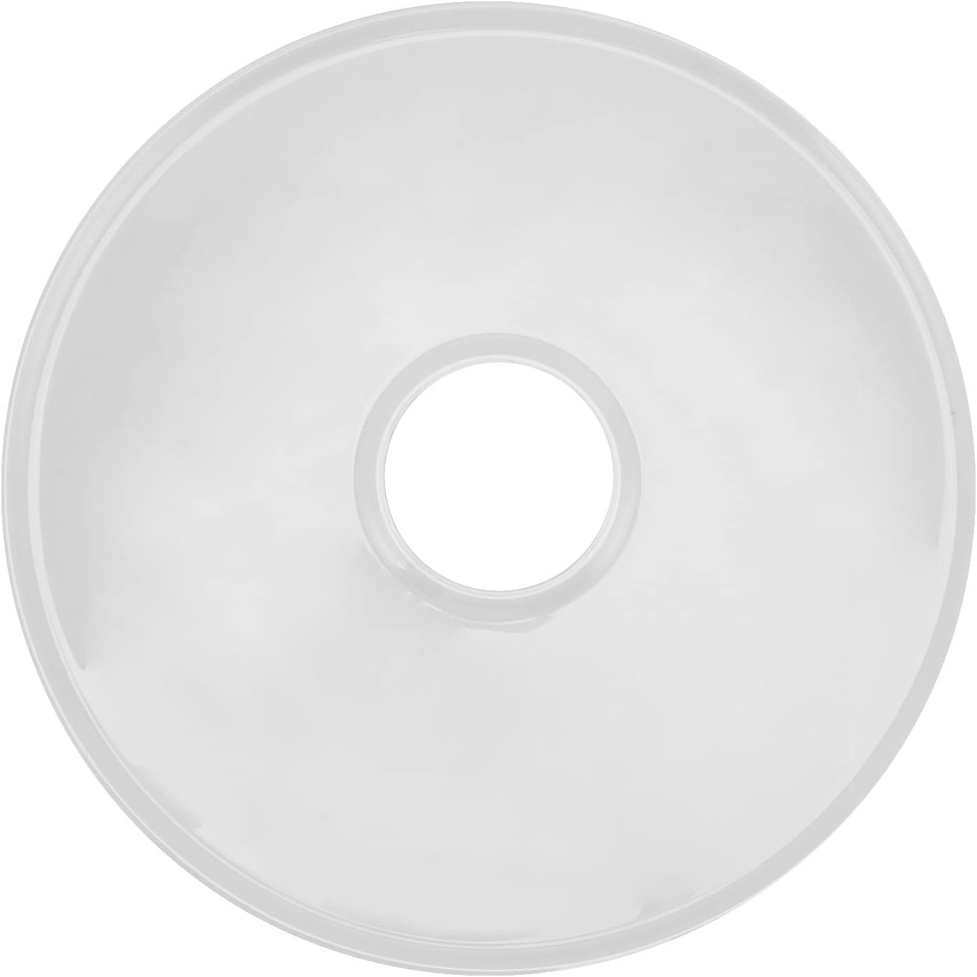 Silicone Dehydrator Sheet for High Liquid Food Dehydration - Food Dehydrator Water Tray for Nesco FD660 - Specialty Appliances for Food Dehydration (Transparent)