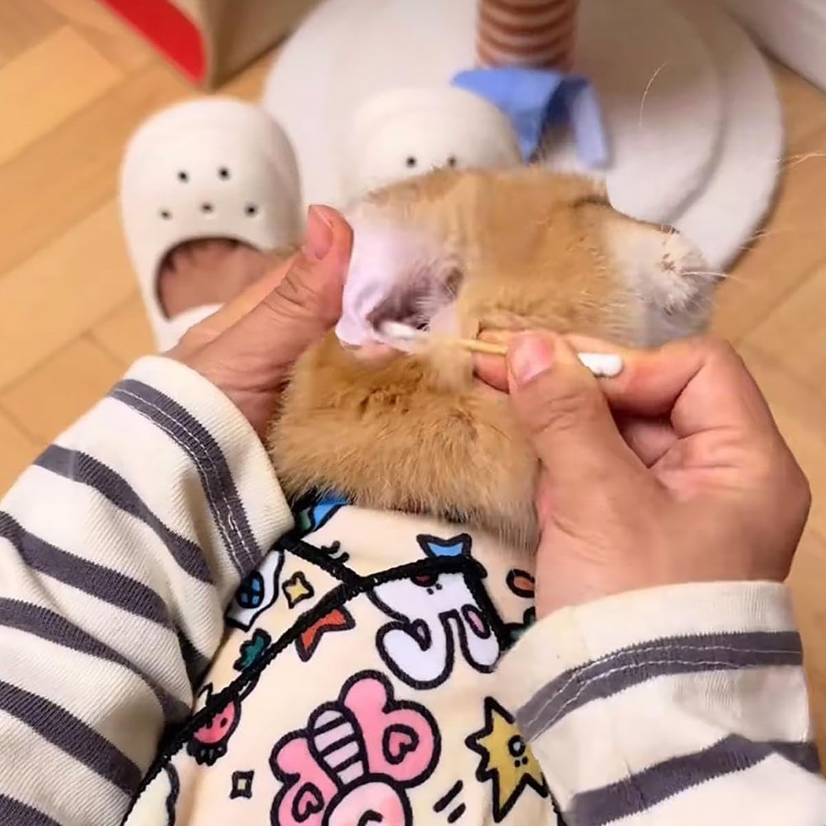 Cat Grooming Wrap, Fabric Wrap for Cats, Cat Wrap for Cutting Nails,Self-Adherent, Anti-Scratch, Anti-Bite, Anti-Escape Calming Wrap for Medicine,Nail Clipping (L: 55 * 55 Cm / 21.7 * 21.7 In) image number 2