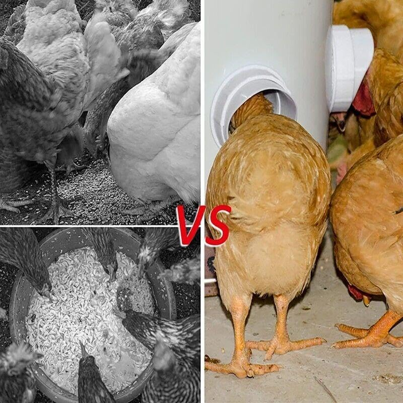 New Chicken Feeder Poultry Pro Feeder DIY Port PVC Gravity Fed Chicken Feeder, Rainproof, Reduces Waste, Includes 4 Feeding Ports and Hole Saw - 5 Pcs/Set (4*Ports+1*Hole Saw) image number 7