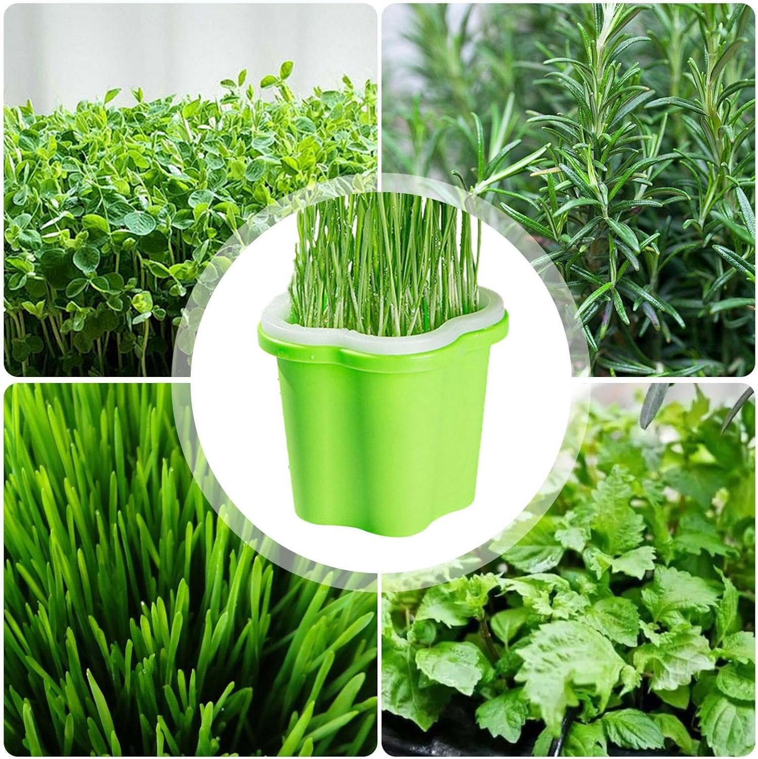 Germination Tray, Plant Tray for Seedlings | Multi-Functional Cultivation Tray | Plant Starter Tray, Reusable Seedling Planter Pot for Seedling Launching, Germination and Gardening Supplies image number 3