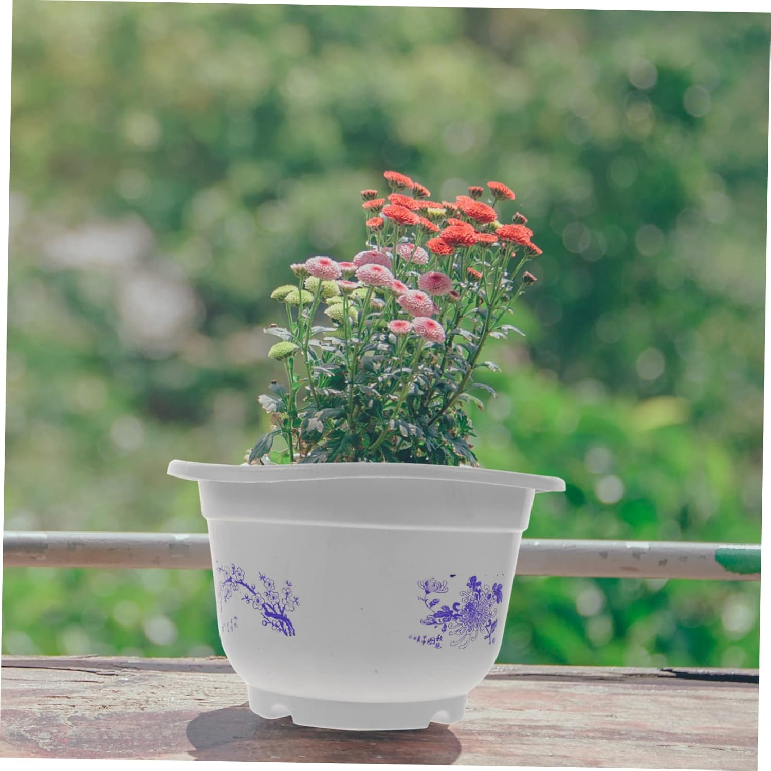 10Pack round Flower Planters Enhanced Water Filtration Ideal for Succulents Indoor Gardening image number 1