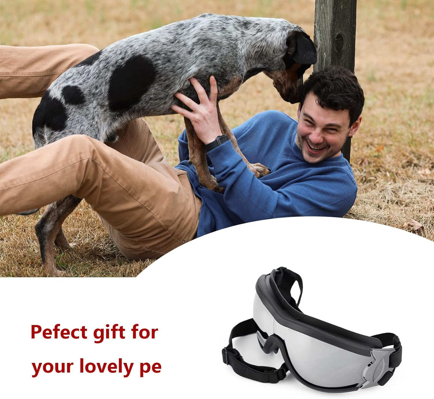 WISTOM Dog Sunglasses and Goggles with Adjustable Strap for Travel, Skiing, and Anti-Fog Snow Protection - Pet Eyewear for Medium to Large Dogs