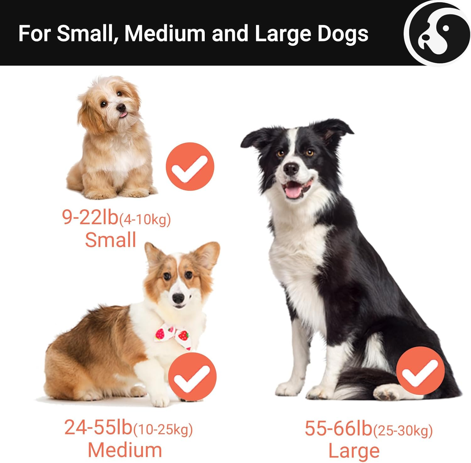 Happy & Polly 4 in 1 Dog Leash Retractable Dog Leash Heavy Duty 16.4 Ft Dog Walking Leash with Flashlight Detachable/Protective Bungee Leash/Magic Box for Small Medium Dogs - Black image number 1