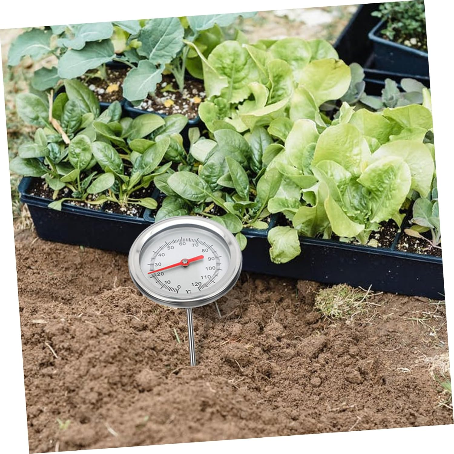 Ibasenice Stainless Steel Soil Thermometer Long Probe Gardening Temperature Detector Sensor for Compost with Accurate C- C Measurement Probe image number 3