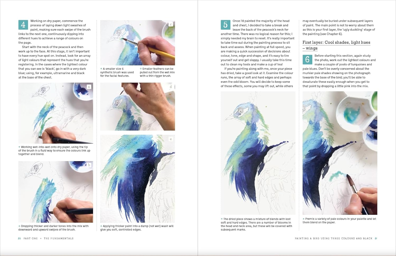 Painting Birds: Expressive Watercolour Techniques image number 1
