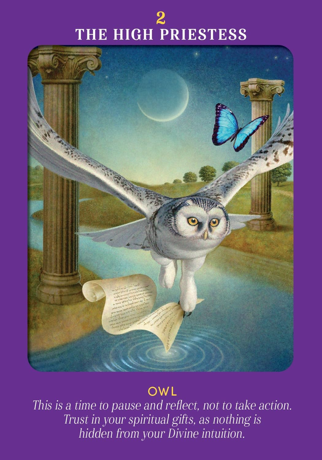 Animal Guides Tarot: a 78-Card Deck and Guidebook image number 3