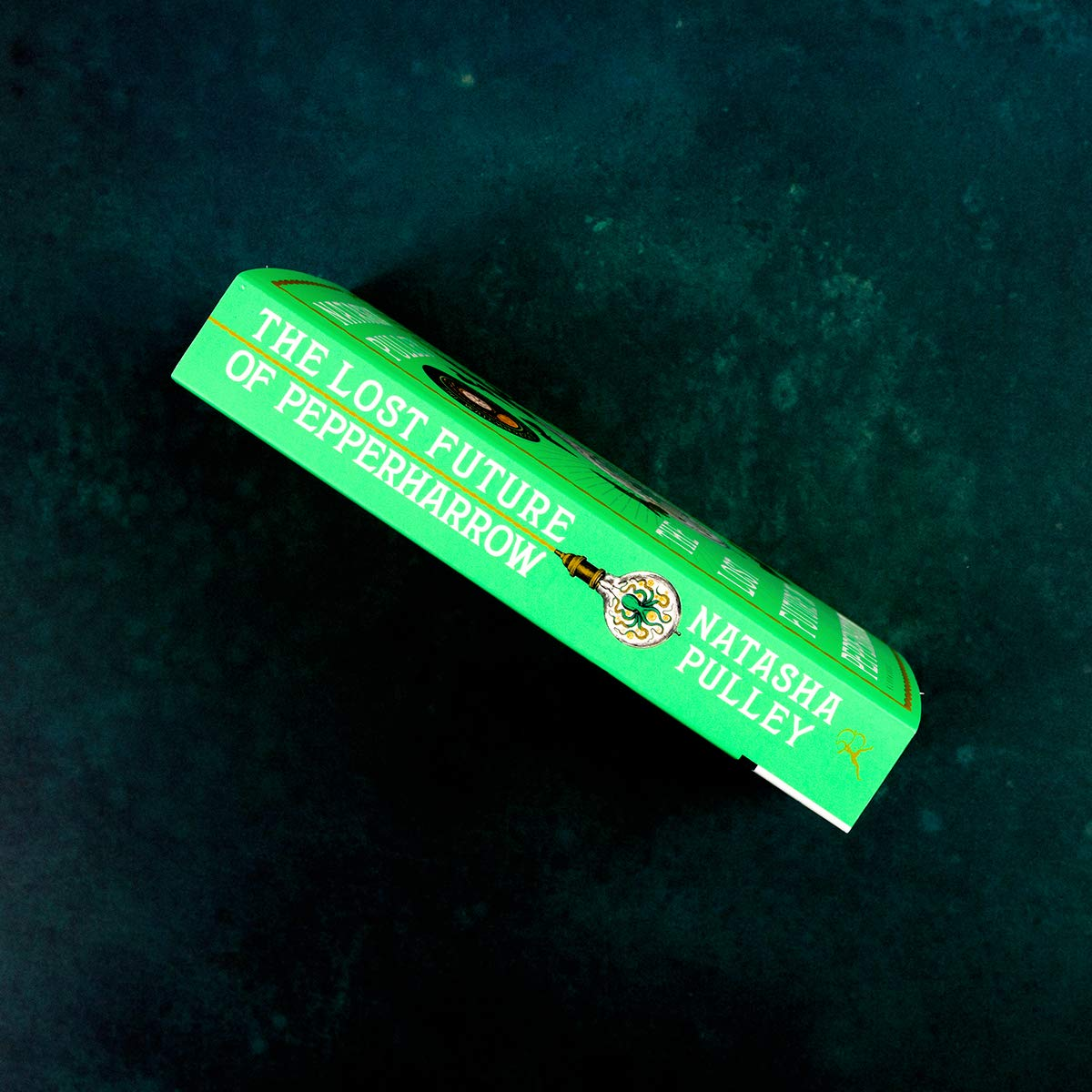 The Lost Future of Pepperharrow image number 3