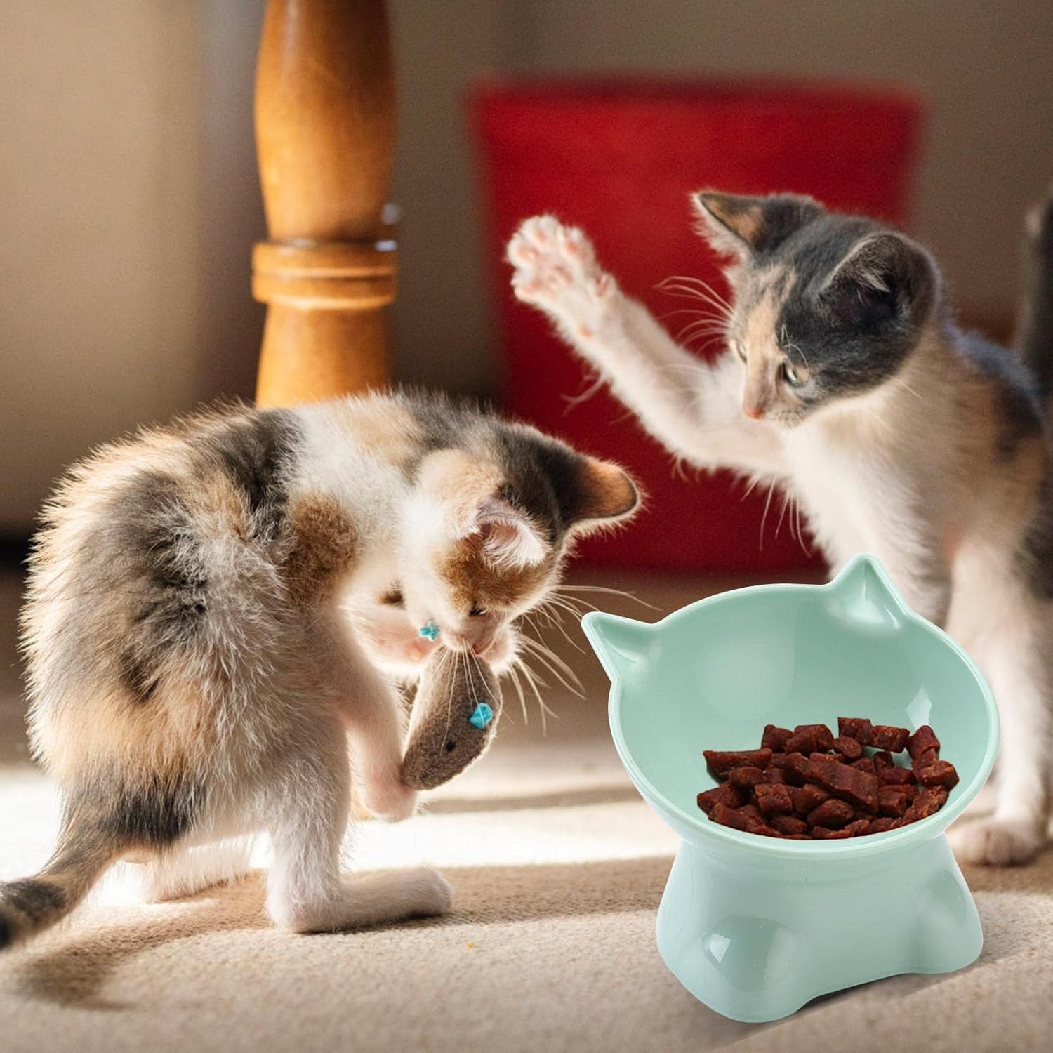 Elevated Cat Bowls | Whisker Friendly 15-Degree Tilt Elevated Cat Food Bowls for Food - 5.31Inch Shallow Raised Cat Dish, Pet Water or Food Feeding Station for Indoor Cats, and Small Dogs, image number 6