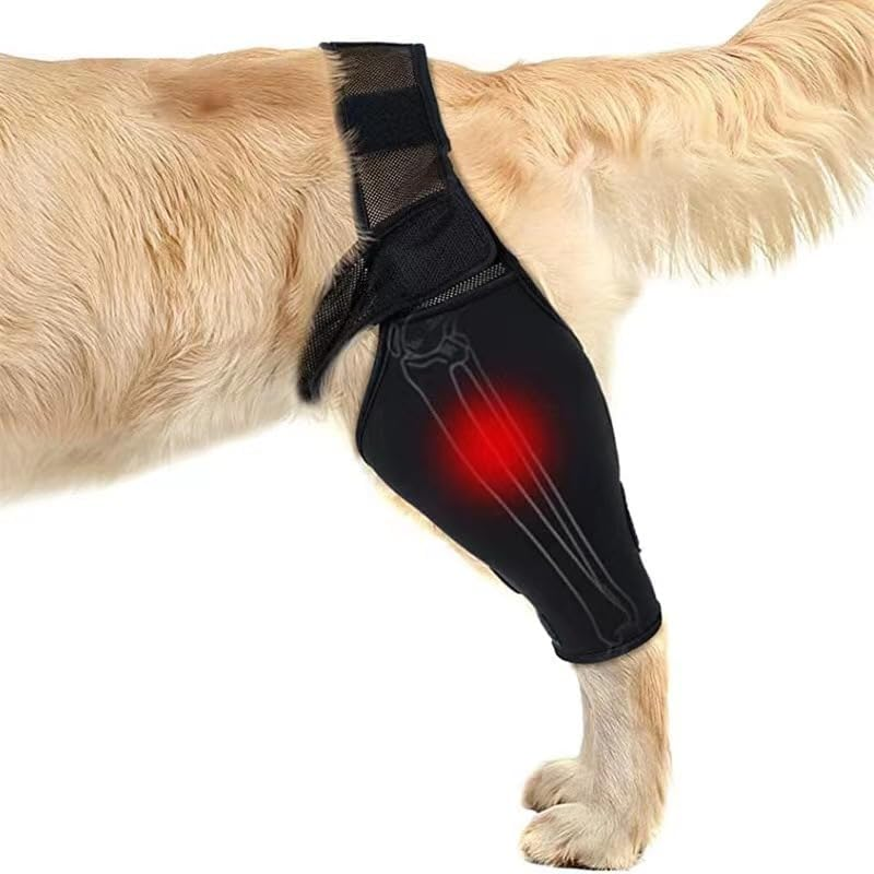 Dog Elbow Protector, Dog Elbow Brace Protector Pads for Canine Elbow and Shoulder Support, Dog Knee Leg Sleeve for Dysplasia, Arthritis, Pressure Sores, Shoulder Dislocation (L, Black) image number 3
