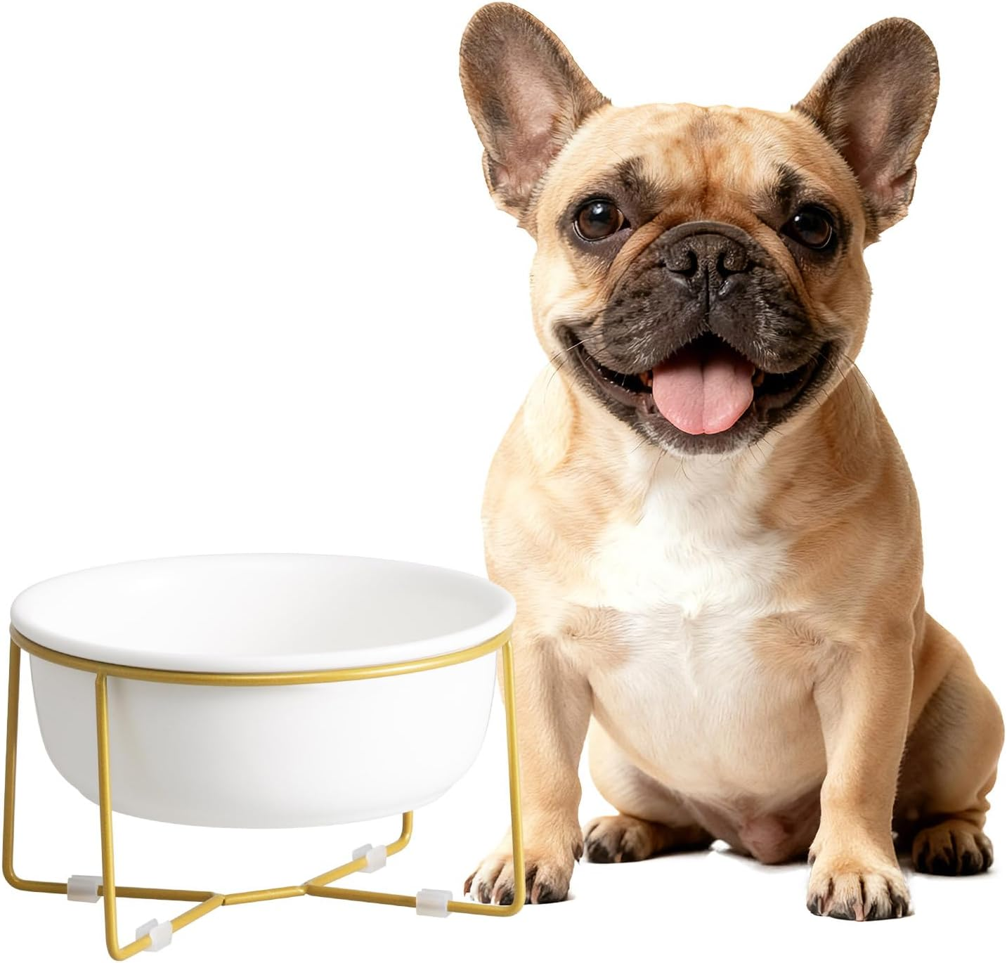 Elevated Ceramic Dog Bowl with Metal Stand - Raised Feeding Dish for Small Dogs and Cats - Ideal for Food or Water - Each Holds 400Ml / 2 Cups (Approx. 200G) - White
