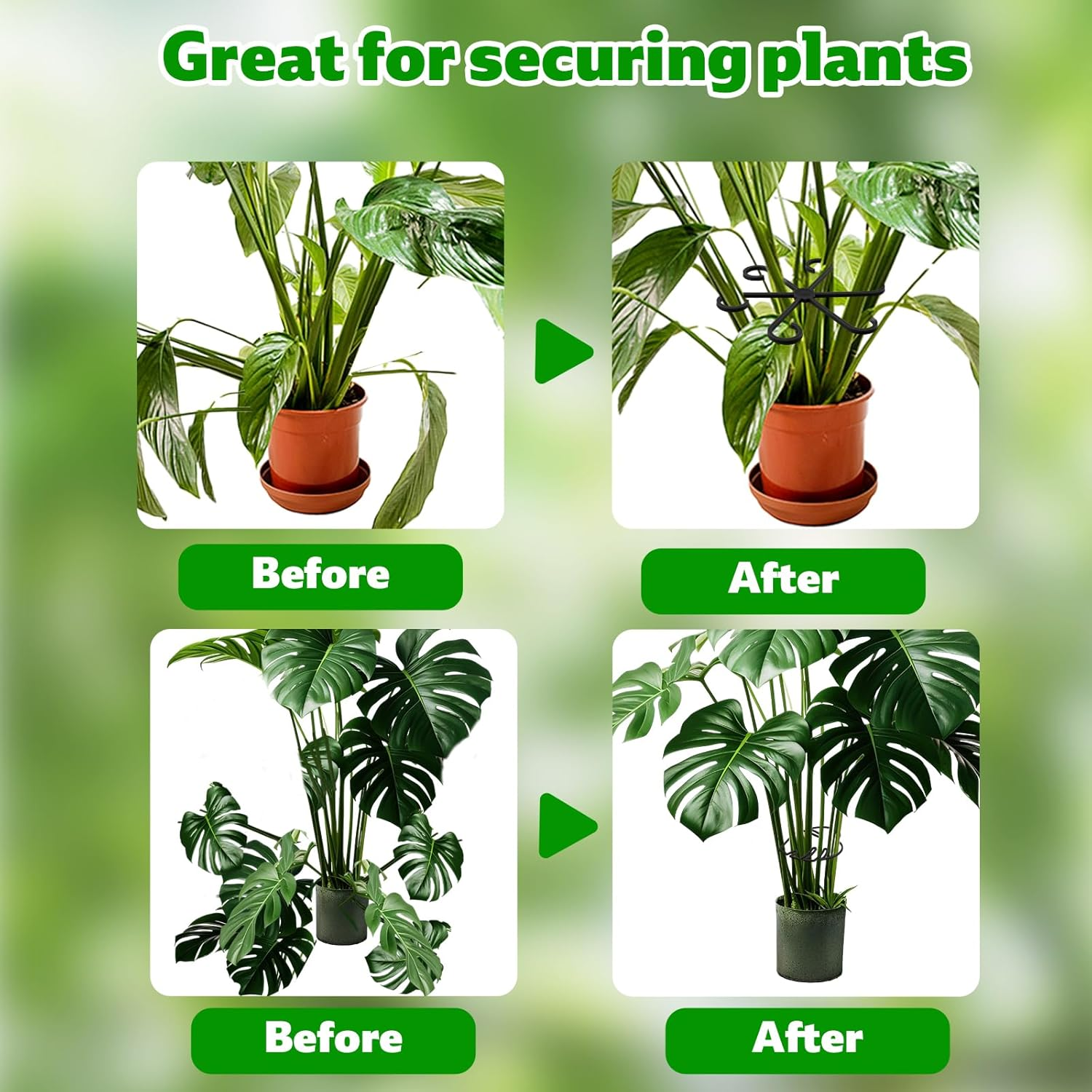 6Pcs Plant Stem Supports, Reusable Monstera Plant Stakes Sturdy Leaf Buddy Support Green Plants Propagation Holder Climbing Houseplant Trellis for Indoor Plants Healthy Growth Rack (Black) image number 4