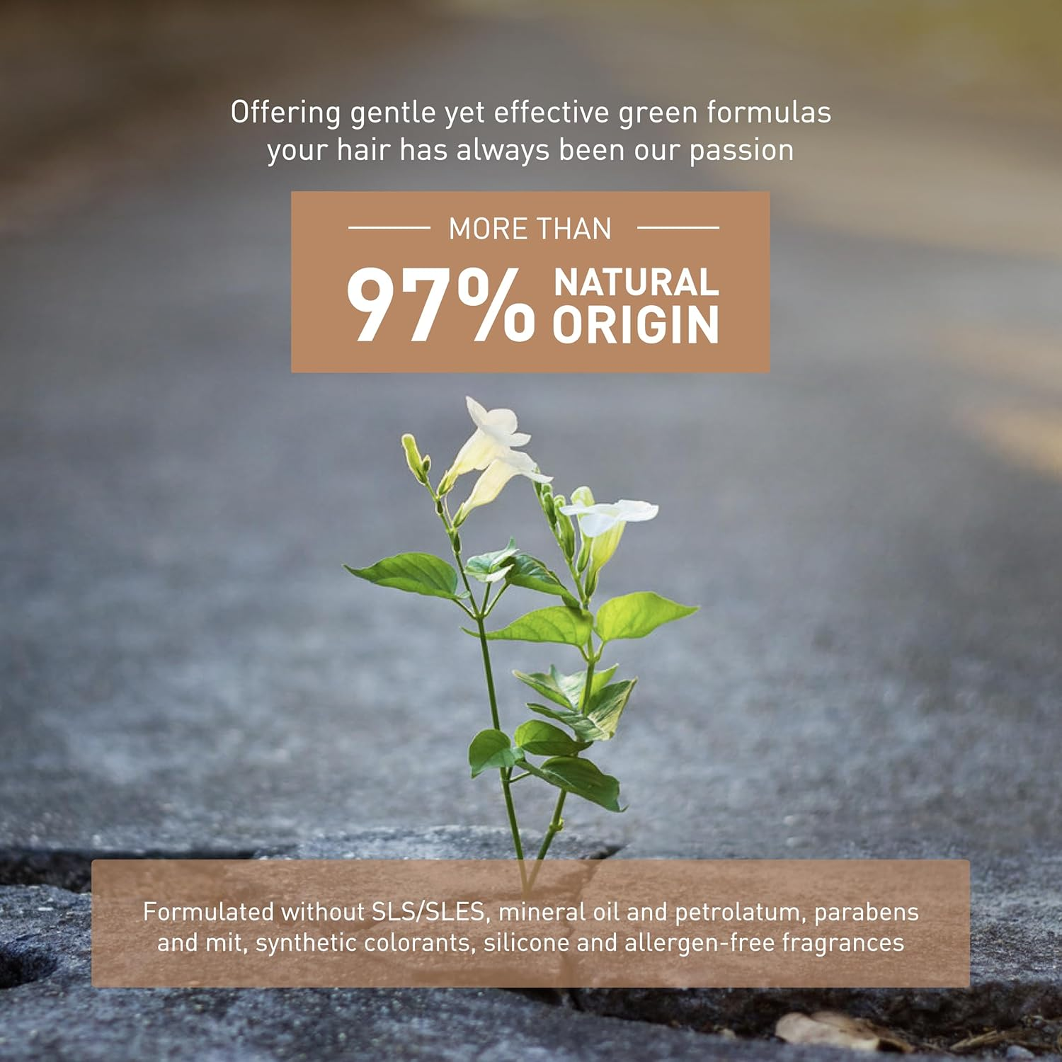 Insight Sensitive Skin Shampoo 900 Ml image number 2