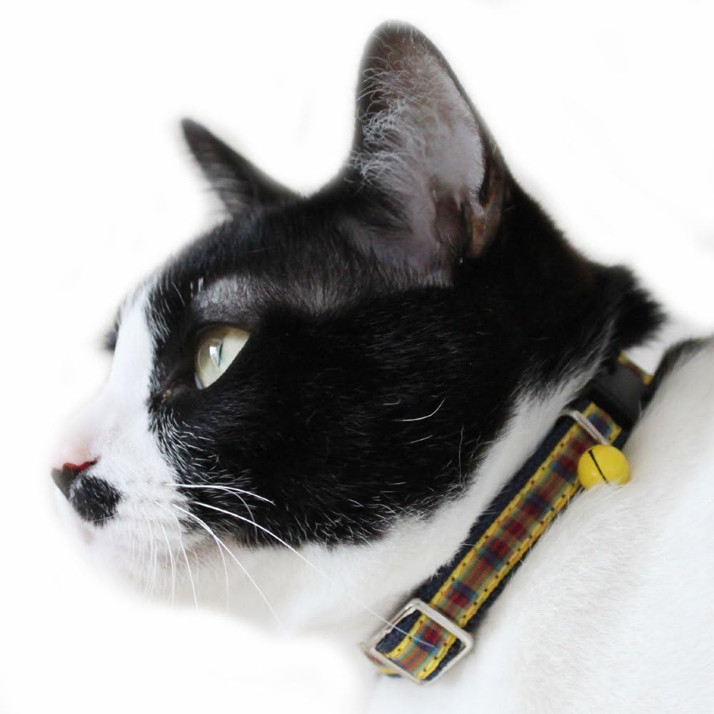 Birdie 491 Cat Collar, Safety Buckle, CAT Tartan Check Collar, Yellow image number 3